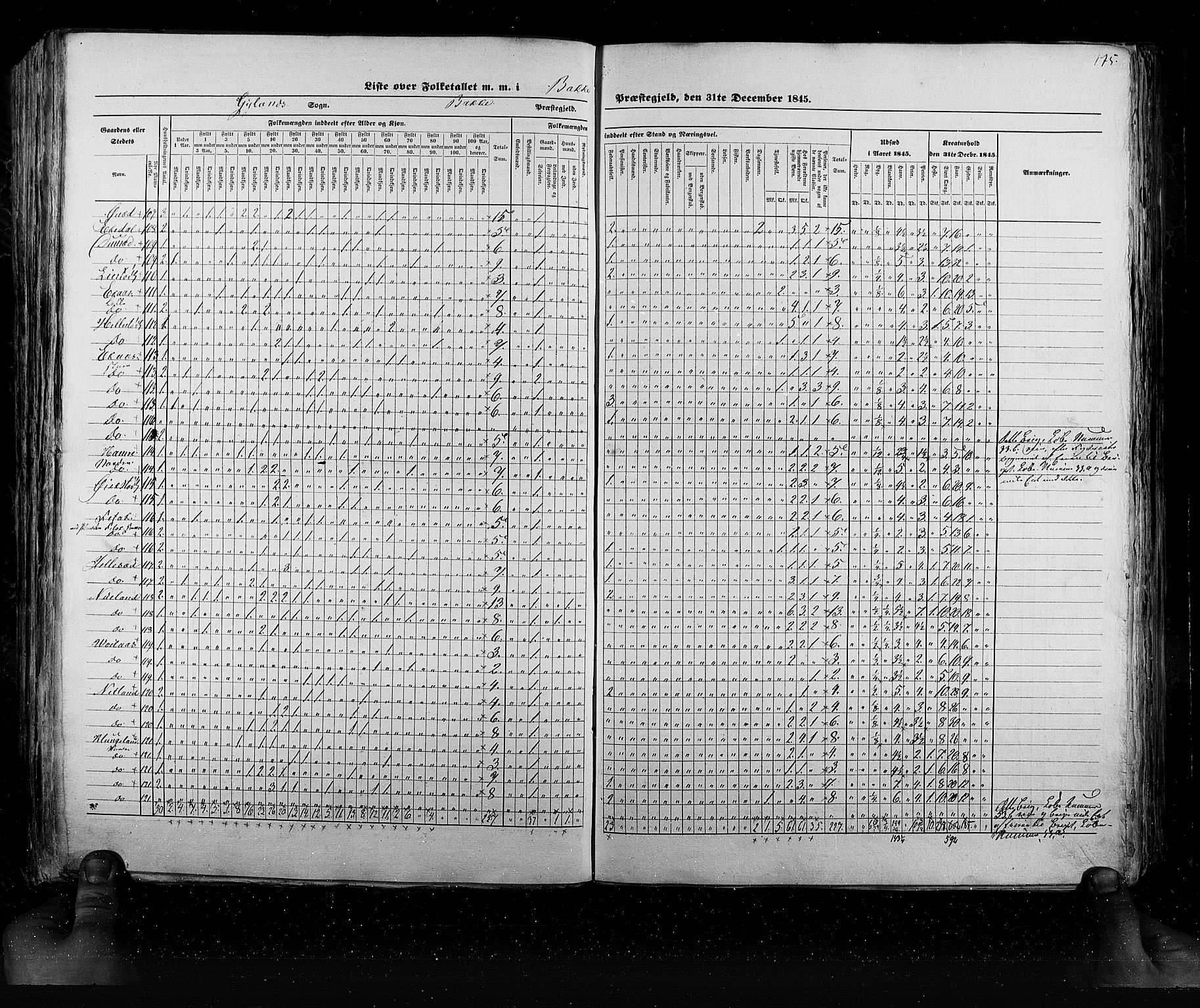 RA, Census 1845, vol. 6: Lister og Mandal amt og Stavanger amt, 1845, p. 175