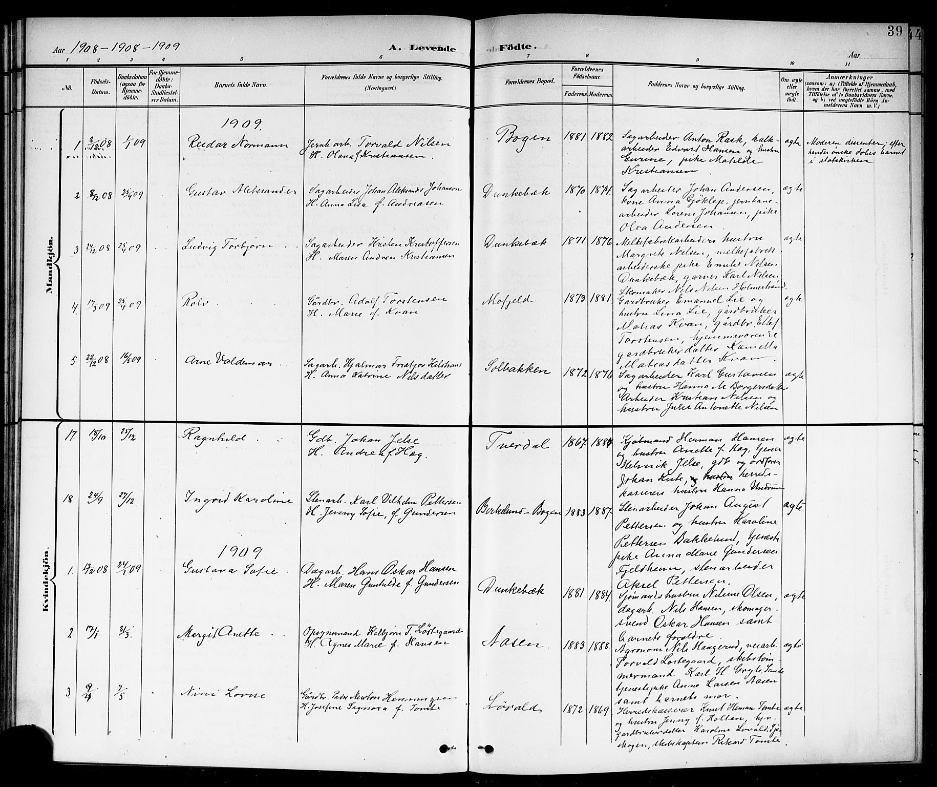 Botne kirkebøker, AV/SAKO-A-340/G/Ga/L0004: Parish register (copy) no. I 4, 1899-1915, p. 39