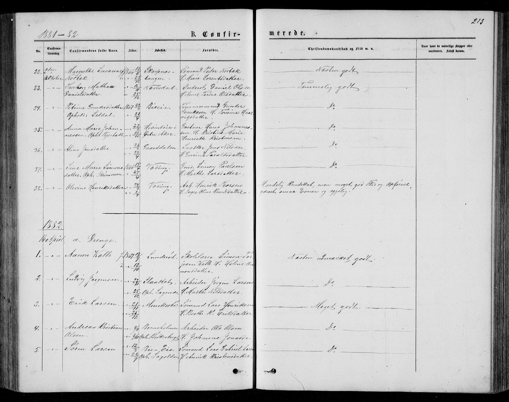 Øyestad sokneprestkontor, SAK/1111-0049/F/Fb/L0008: Parish register (copy) no. B 8, 1872-1886, p. 213