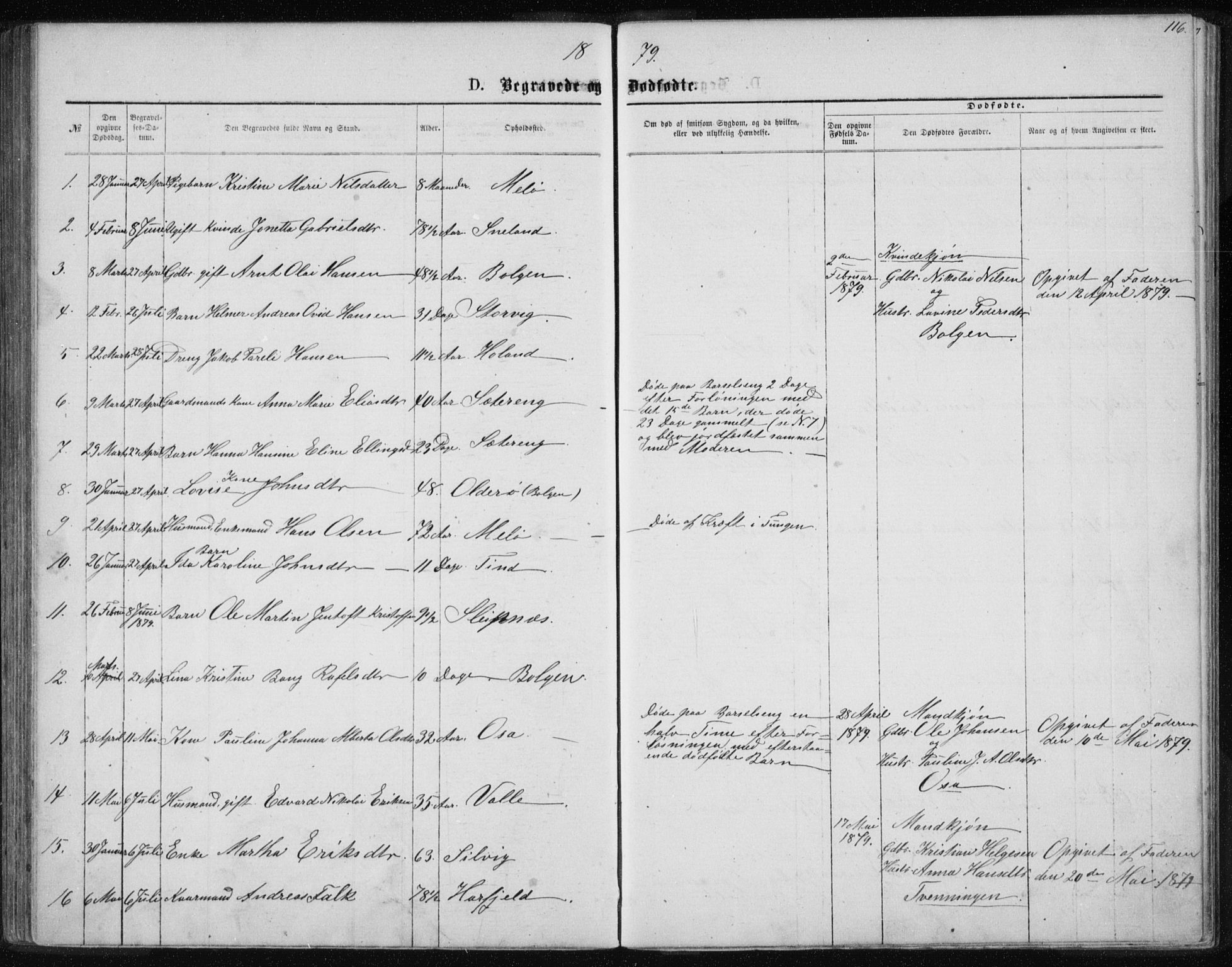 Ministerialprotokoller, klokkerbøker og fødselsregistre - Nordland, SAT/A-1459/843/L0635: Parish register (copy) no. 843C04, 1872-1887, p. 116