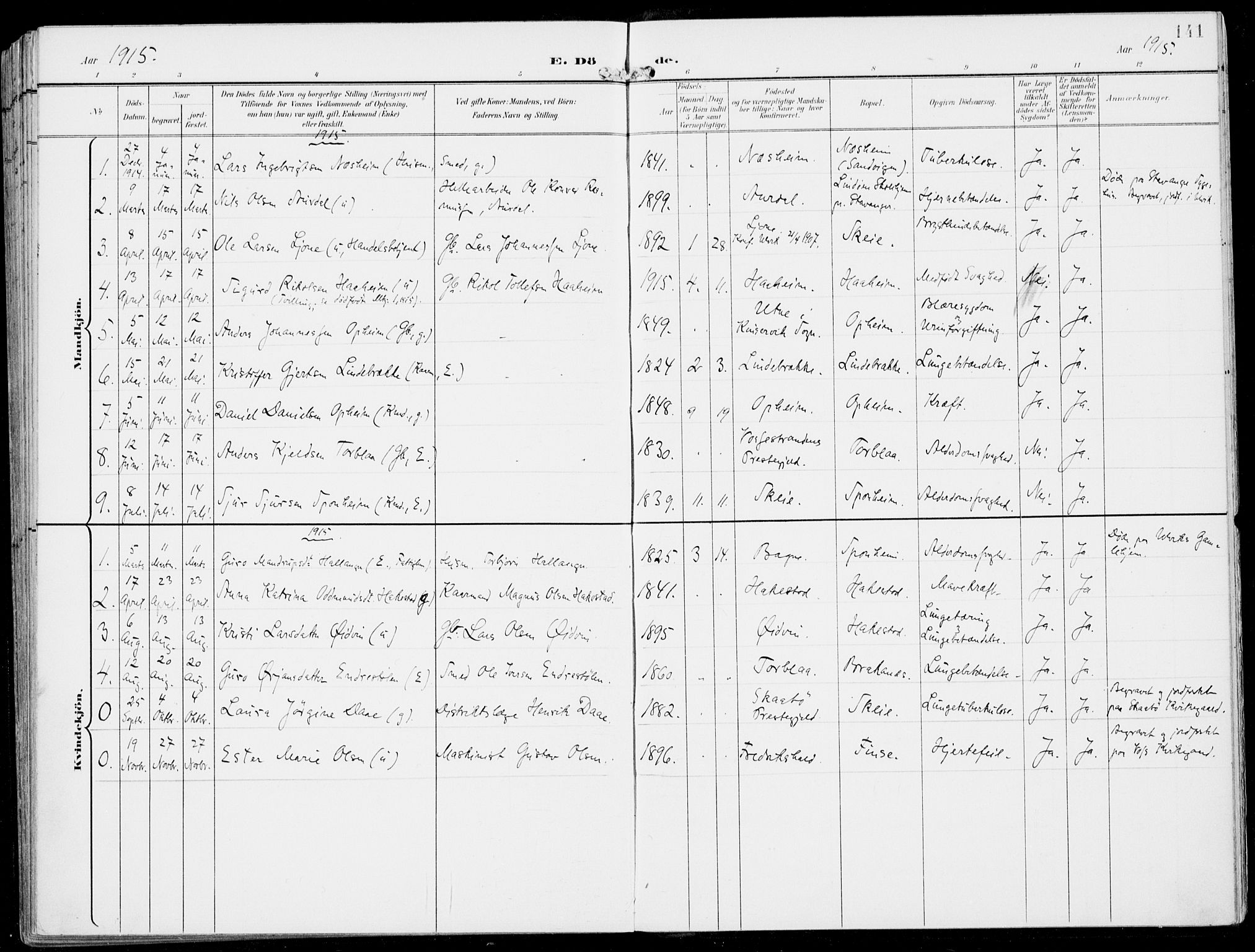 Ulvik sokneprestembete, AV/SAB-A-78801/H/Haa: Parish register (official) no. B  2, 1898-1924, p. 141