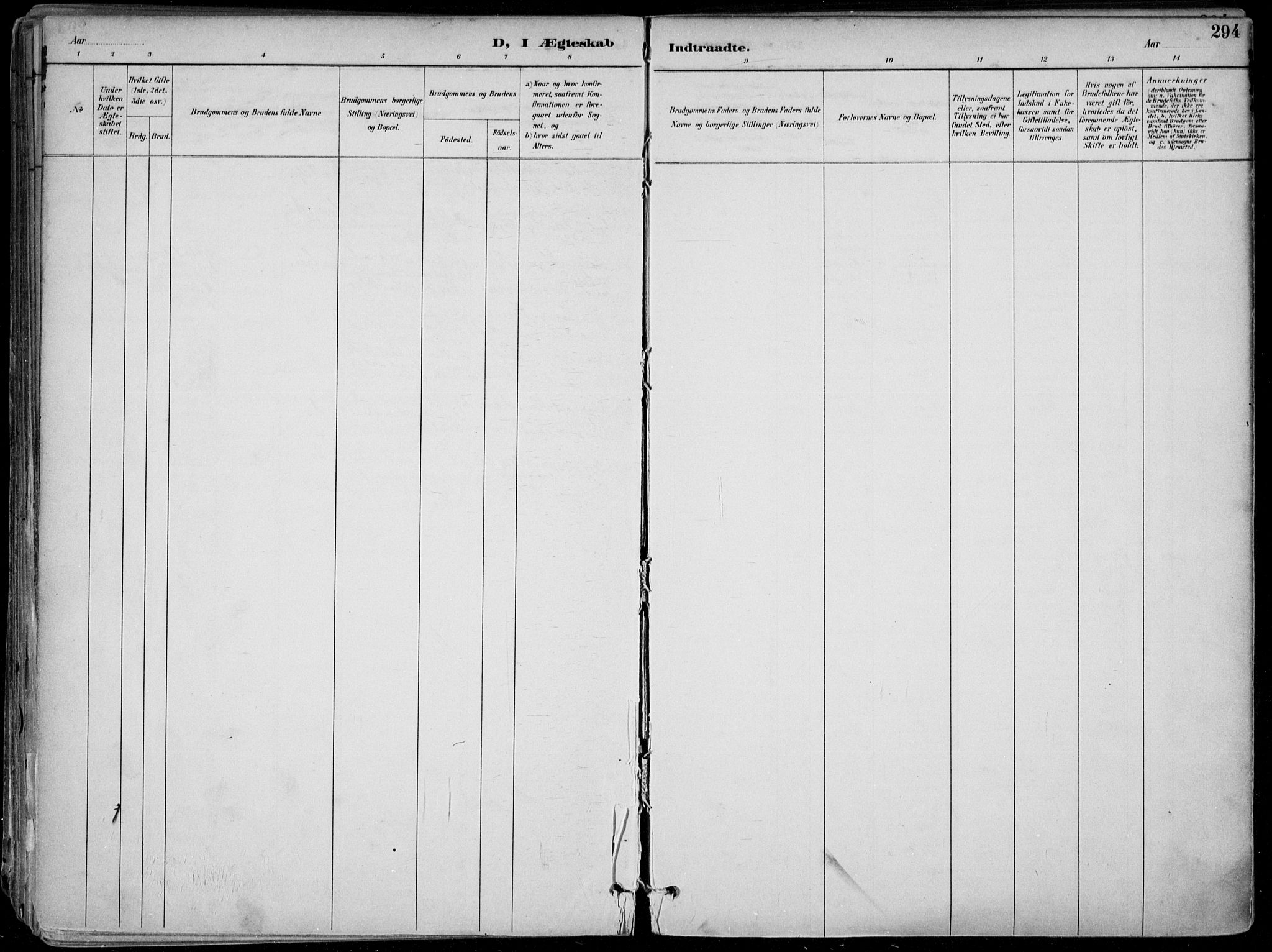 Skien kirkebøker, SAKO/A-302/F/Fa/L0010: Parish register (official) no. 10, 1891-1899, p. 294