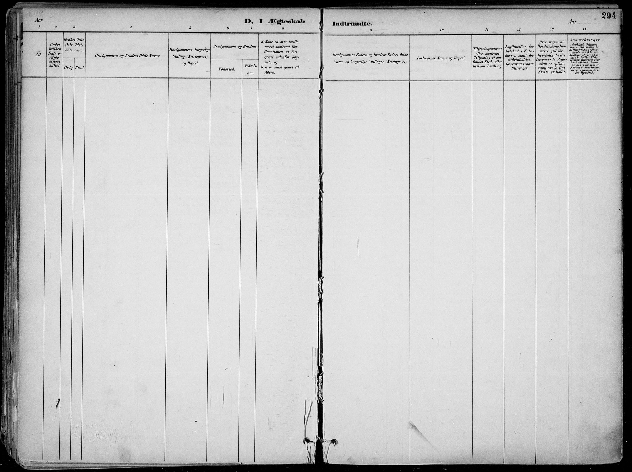 Skien kirkebøker, AV/SAKO-A-302/F/Fa/L0010: Parish register (official) no. 10, 1891-1899, p. 294