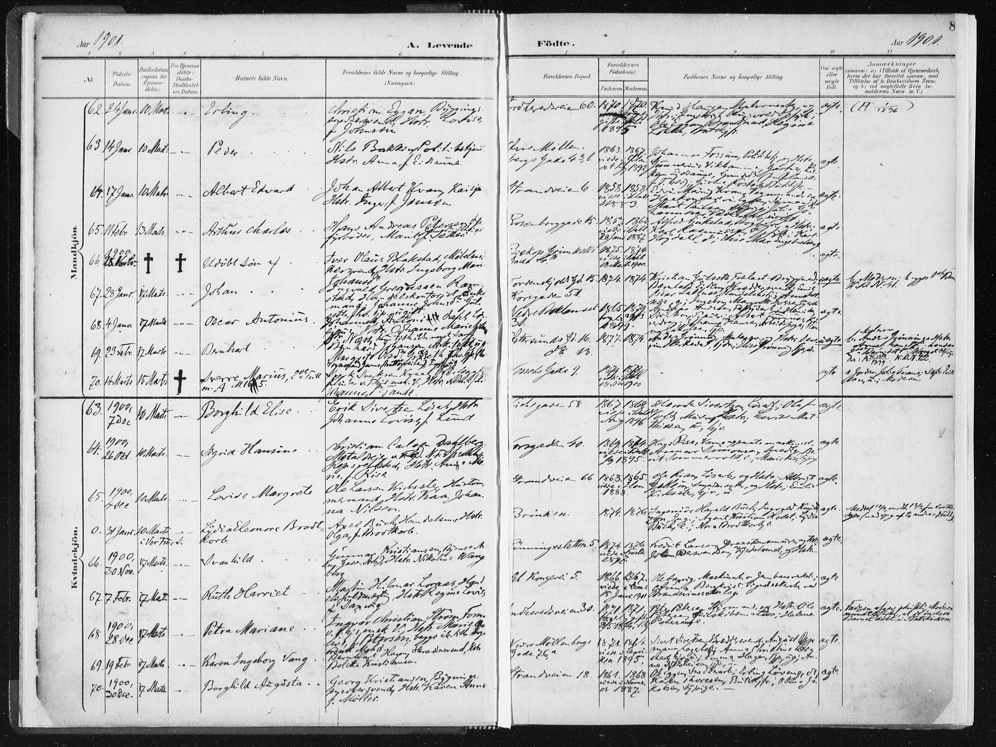 Ministerialprotokoller, klokkerbøker og fødselsregistre - Sør-Trøndelag, SAT/A-1456/604/L0199: Parish register (official) no. 604A20I, 1901-1906, p. 8