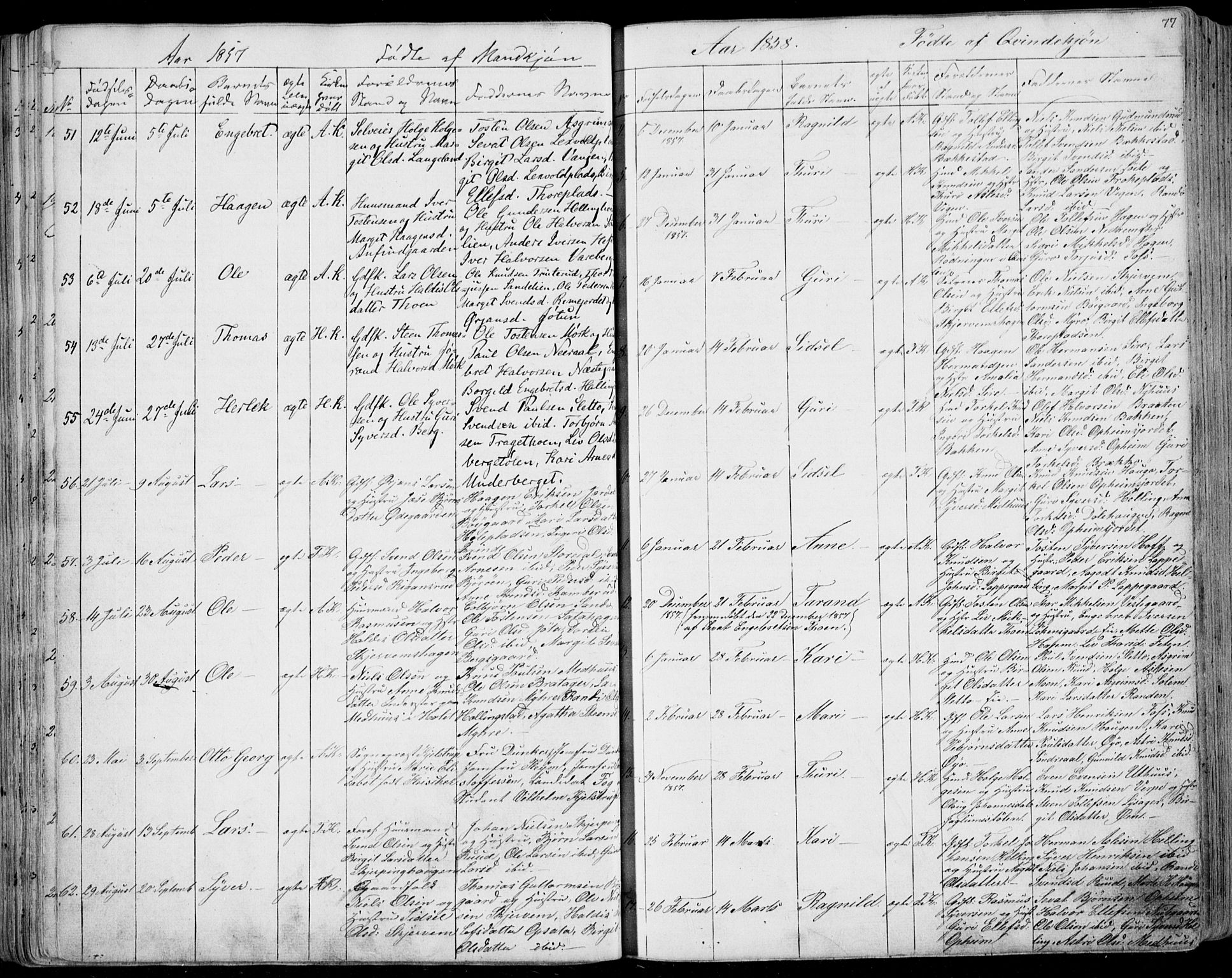 Ål kirkebøker, AV/SAKO-A-249/F/Fa/L0006: Parish register (official) no. I 6, 1849-1864, p. 77