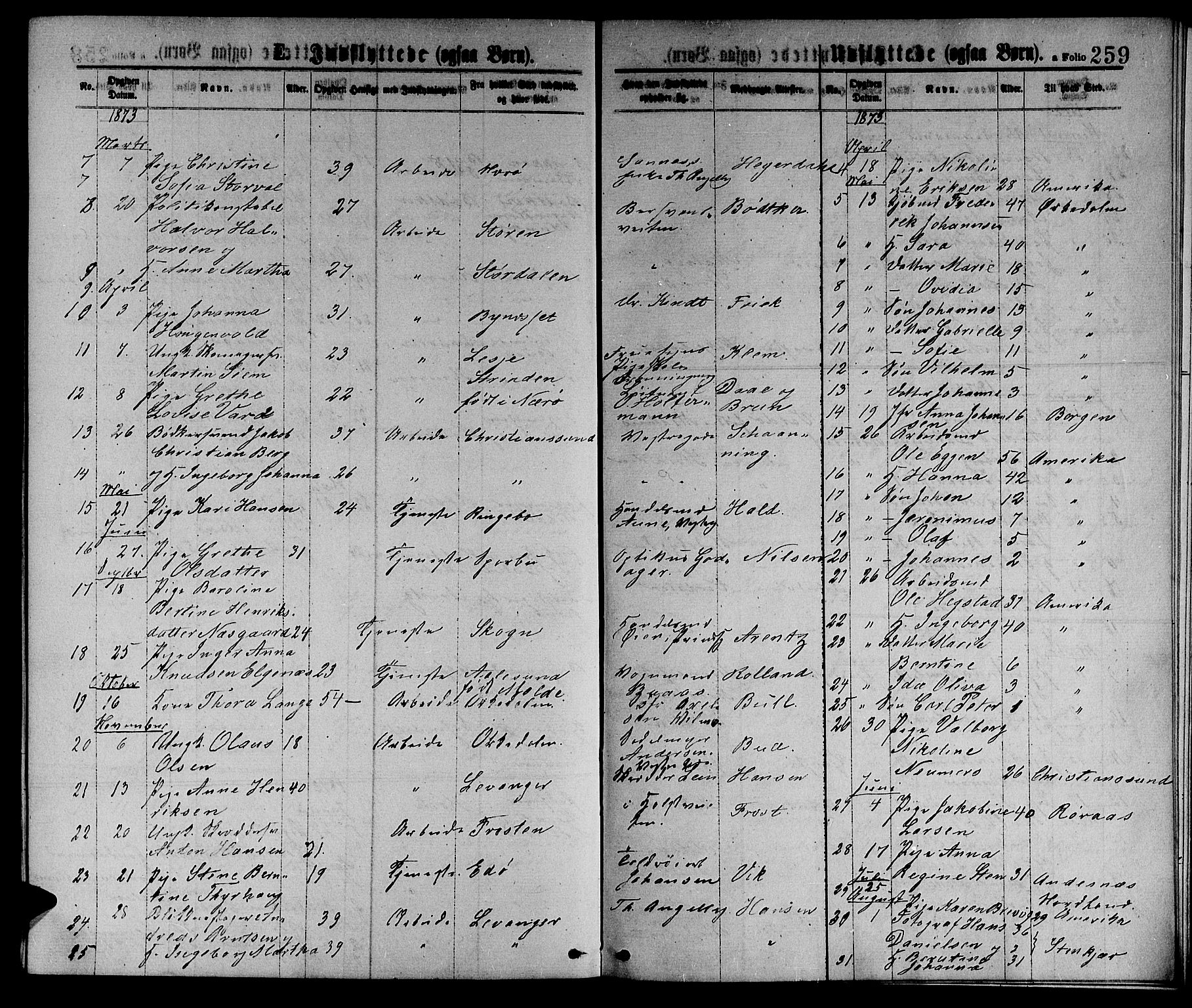 Ministerialprotokoller, klokkerbøker og fødselsregistre - Sør-Trøndelag, SAT/A-1456/601/L0088: Parish register (copy) no. 601C06, 1870-1878, p. 259