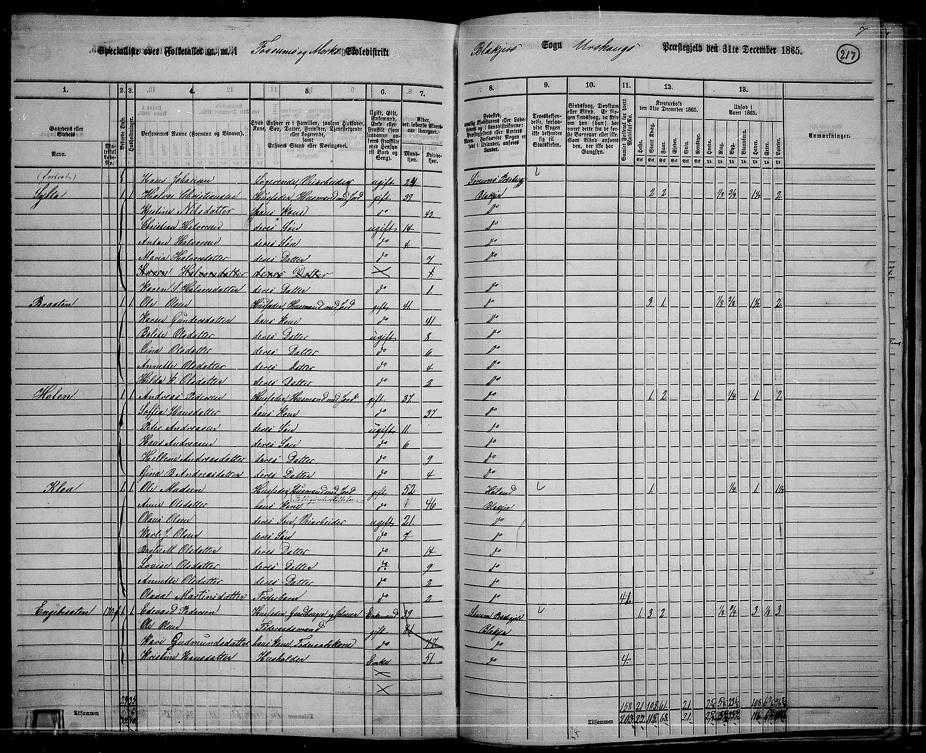 RA, 1865 census for Aurskog, 1865, p. 196