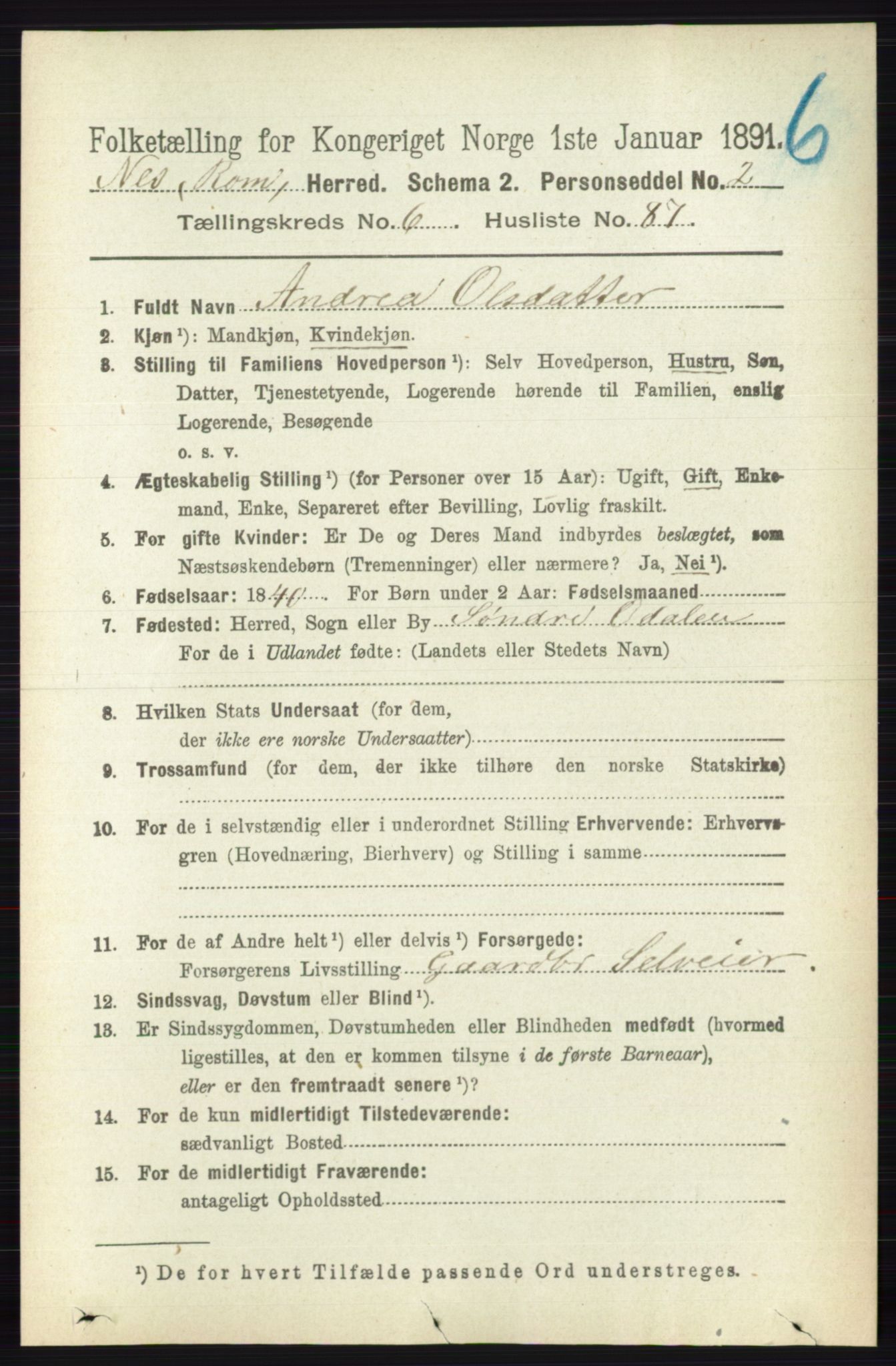 RA, 1891 census for 0236 Nes, 1891, p. 3917