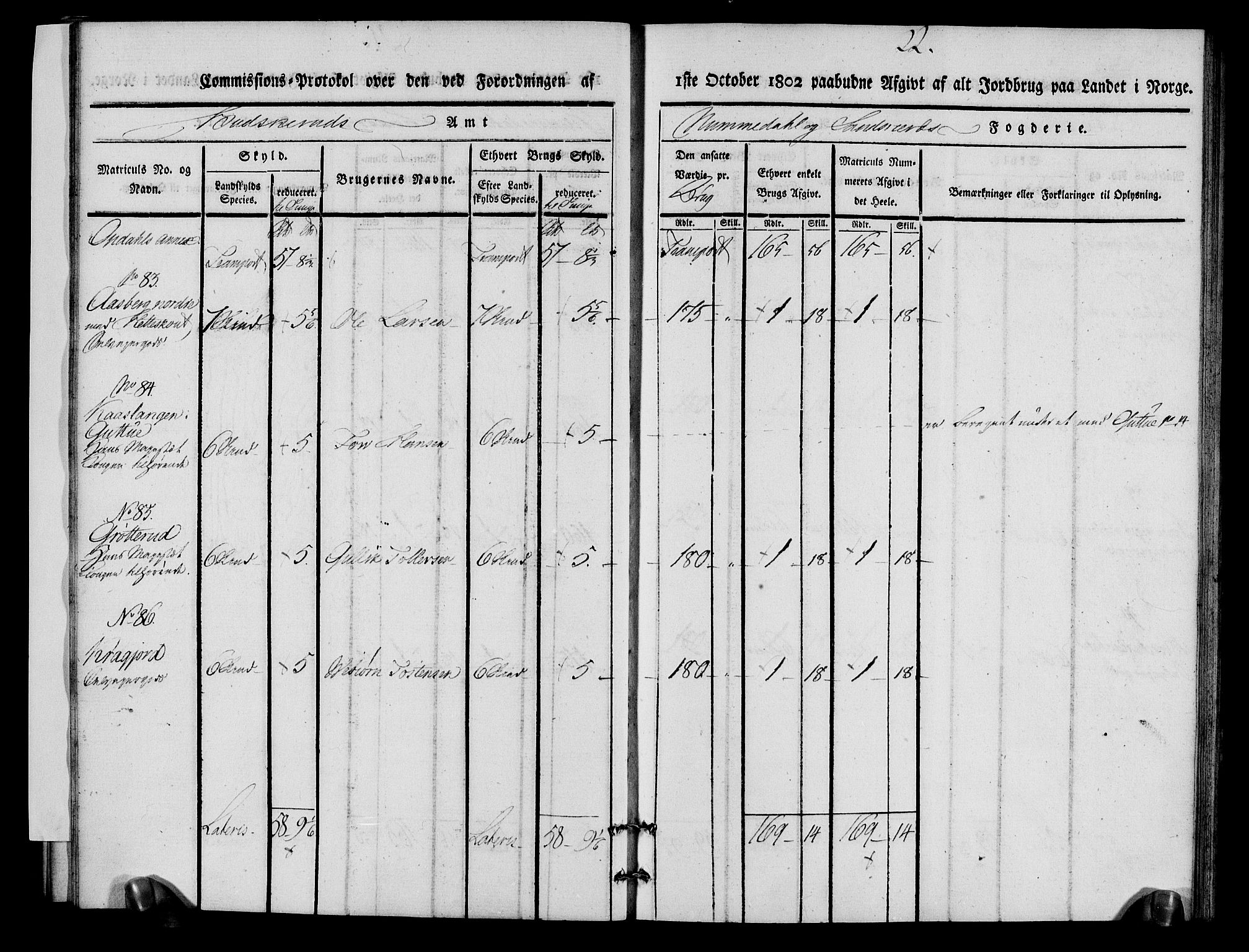 Rentekammeret inntil 1814, Realistisk ordnet avdeling, AV/RA-EA-4070/N/Ne/Nea/L0056b: Numedal og Sandsvær fogderi. Kommisjonsprotokoll over matrikulerte jordbruk i Uvdal og Nore annekser, 1803, p. 22