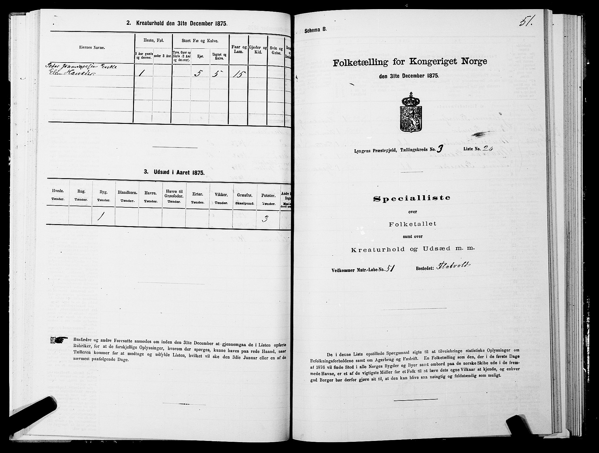 SATØ, 1875 census for 1938P Lyngen, 1875, p. 3051