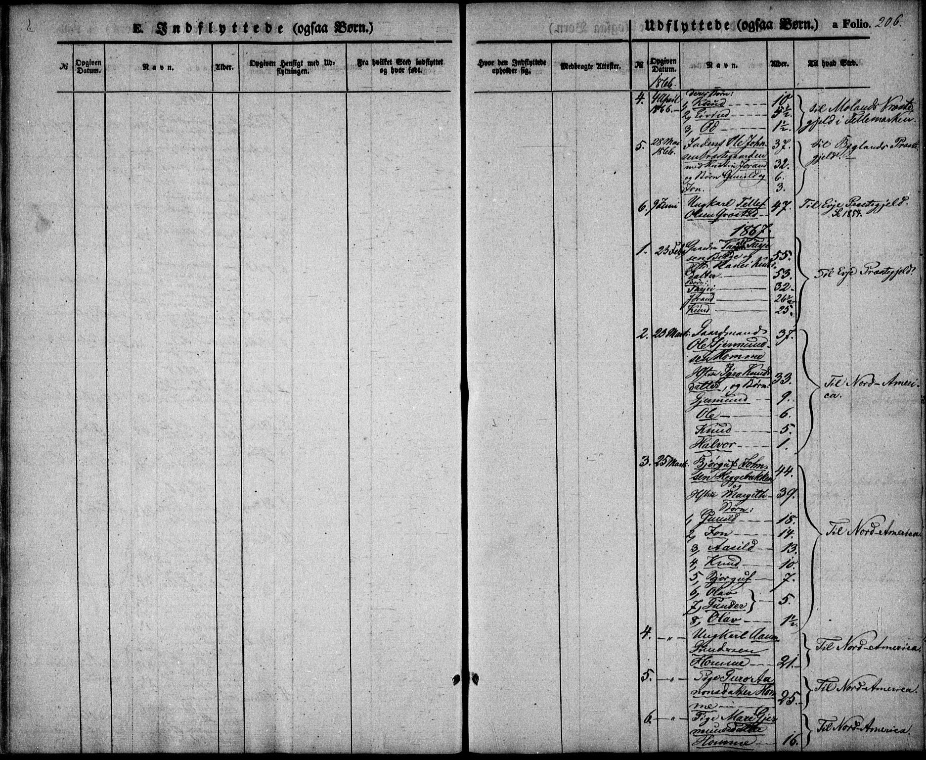 Valle sokneprestkontor, SAK/1111-0044/F/Fa/Fac/L0007: Parish register (official) no. A 7, 1854-1868, p. 206