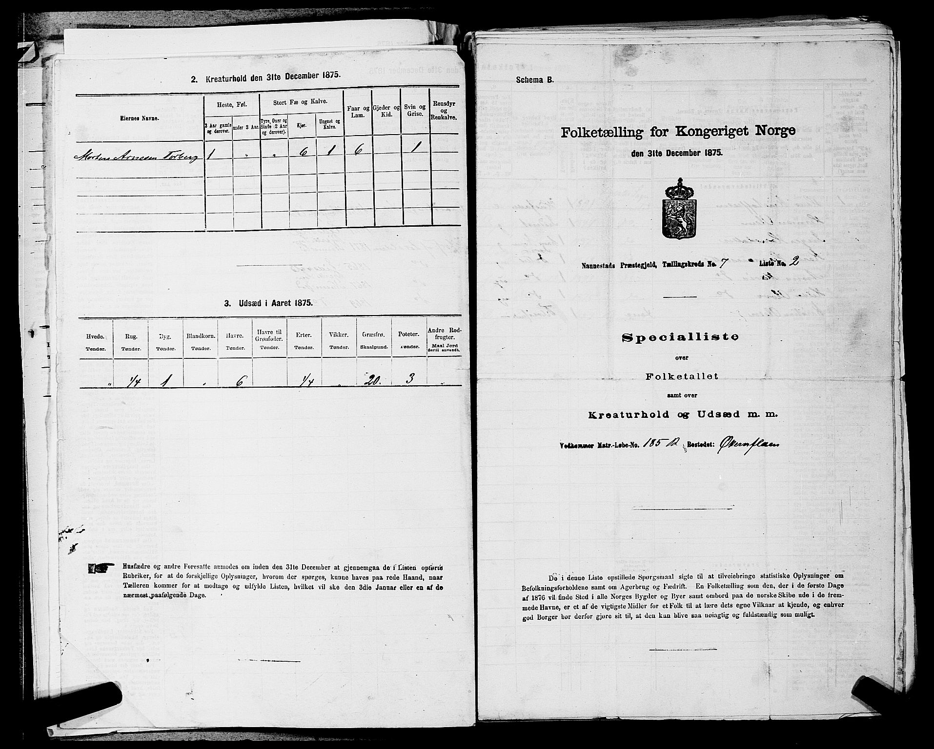 RA, 1875 census for 0238P Nannestad, 1875, p. 1003