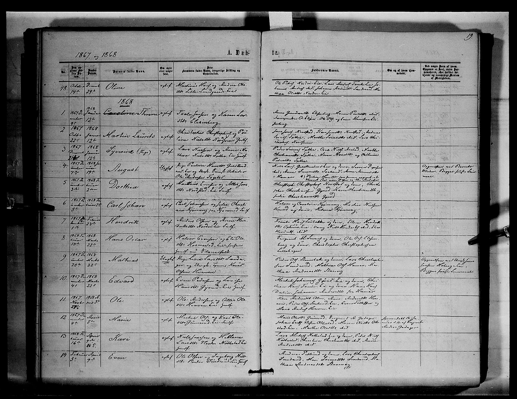 Stange prestekontor, SAH/PREST-002/K/L0015: Parish register (official) no. 15, 1862-1879, p. 19