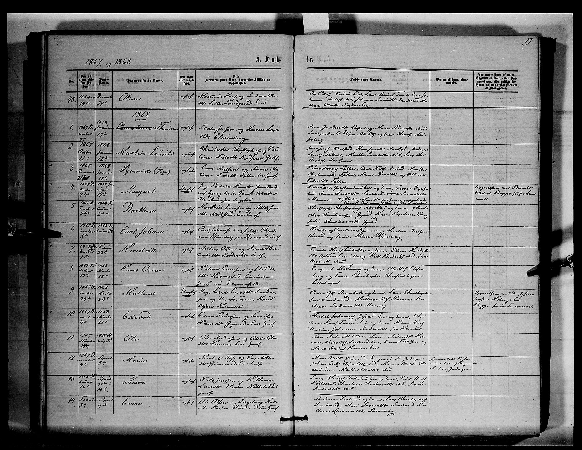 Stange prestekontor, AV/SAH-PREST-002/K/L0015: Parish register (official) no. 15, 1862-1879, p. 19