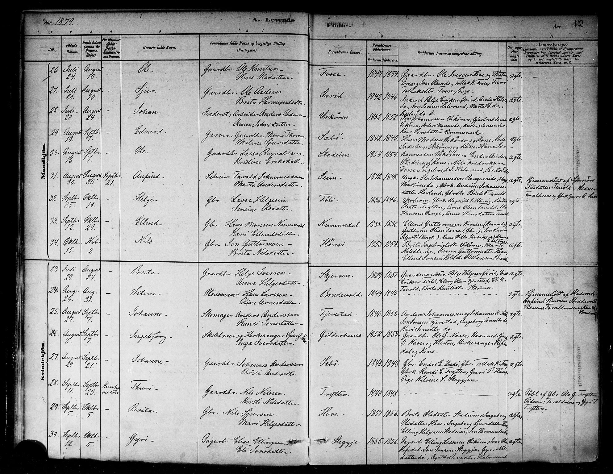 Vik sokneprestembete, AV/SAB-A-81501/H/Haa/Haab/L0001: Parish register (official) no. B 1, 1878-1890, p. 12