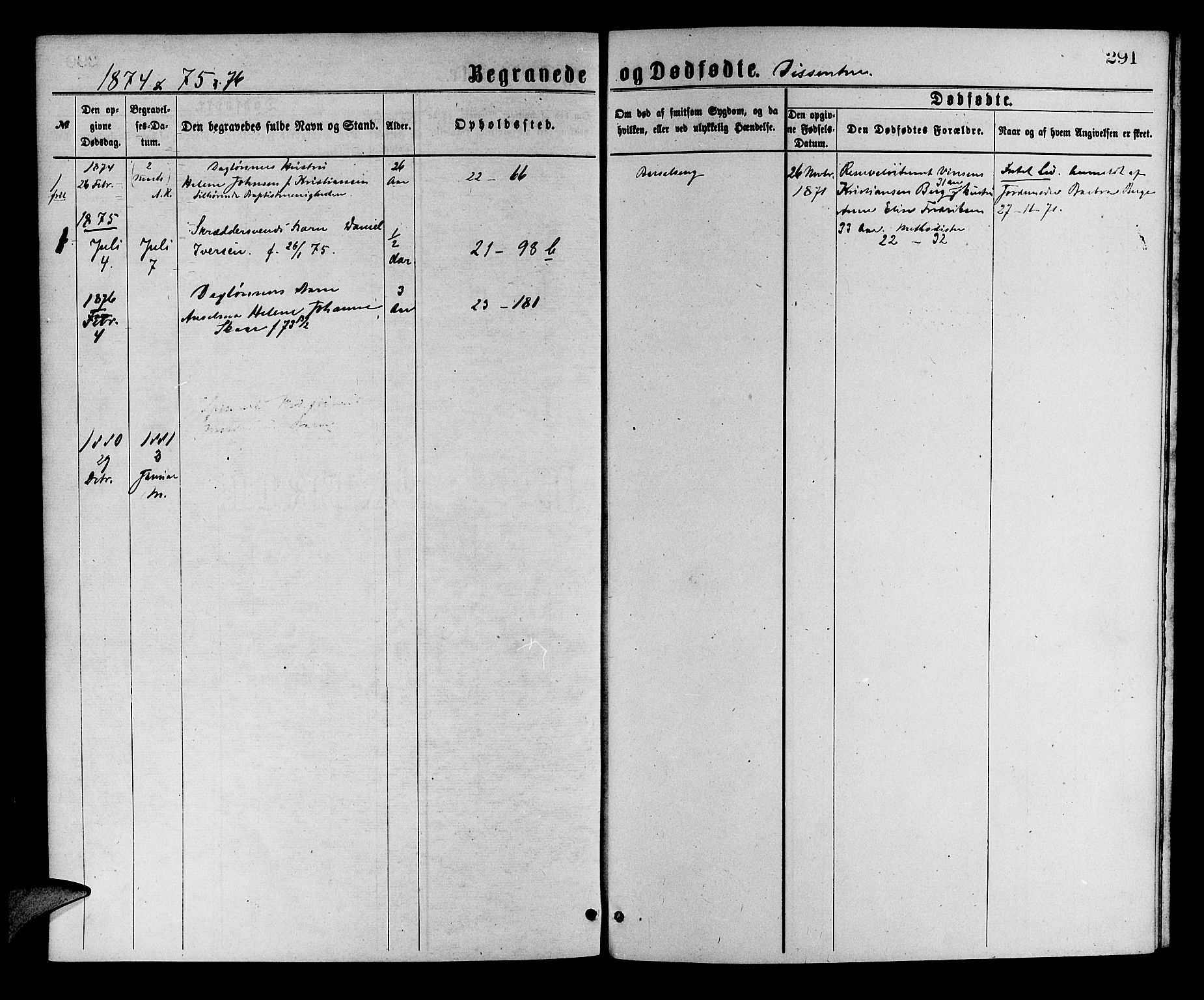 Korskirken sokneprestembete, SAB/A-76101/H/Hab: Parish register (copy) no. E 3, 1871-1883, p. 291