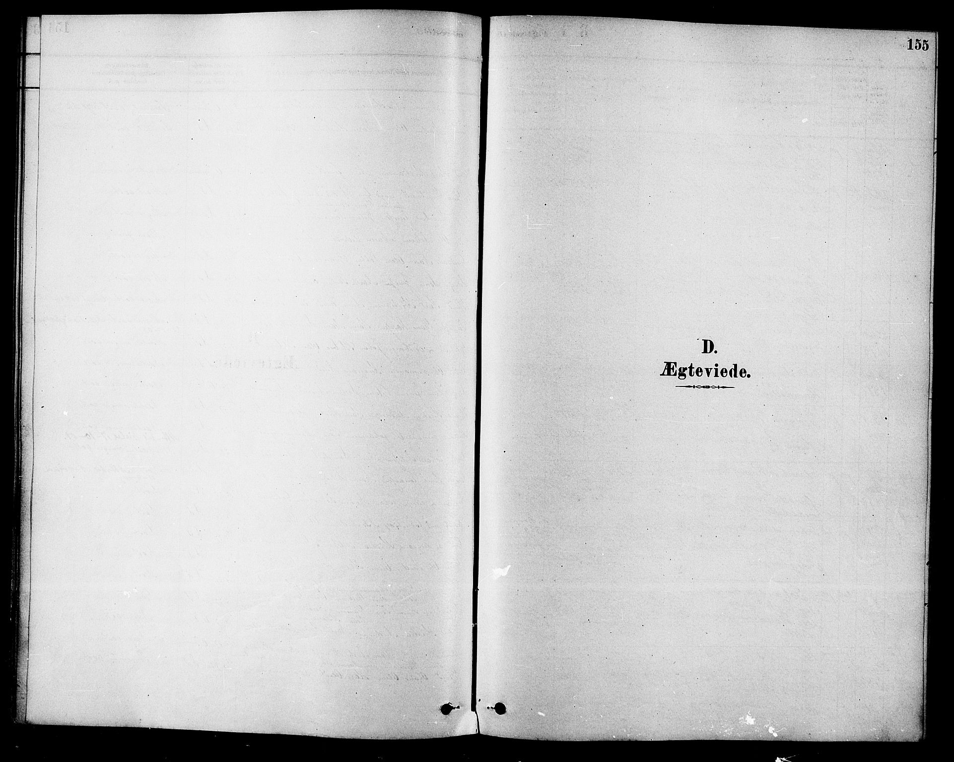 Hole kirkebøker, SAKO/A-228/F/Fa/L0008: Parish register (official) no. I 8, 1878-1891, p. 155