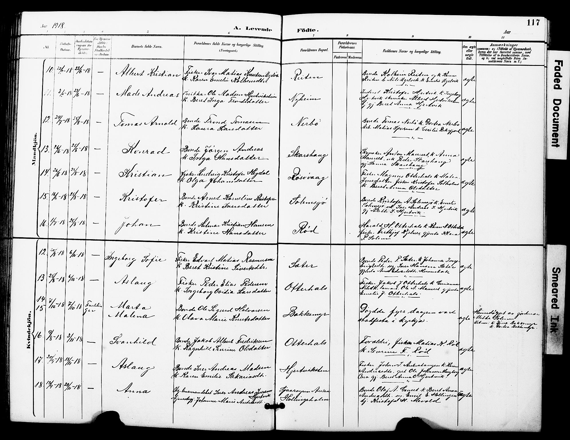 Ministerialprotokoller, klokkerbøker og fødselsregistre - Møre og Romsdal, AV/SAT-A-1454/560/L0725: Parish register (copy) no. 560C02, 1895-1930, p. 117