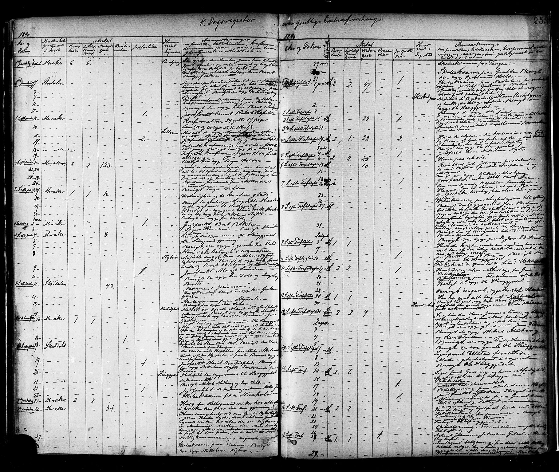 Ministerialprotokoller, klokkerbøker og fødselsregistre - Nord-Trøndelag, SAT/A-1458/706/L0047: Parish register (official) no. 706A03, 1878-1892, p. 253