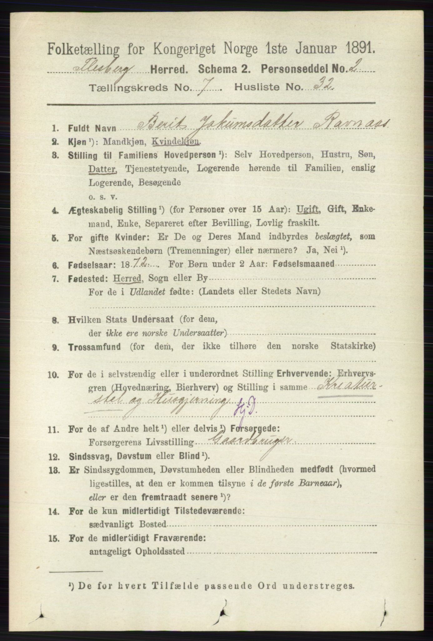 RA, 1891 census for 0631 Flesberg, 1891, p. 1305