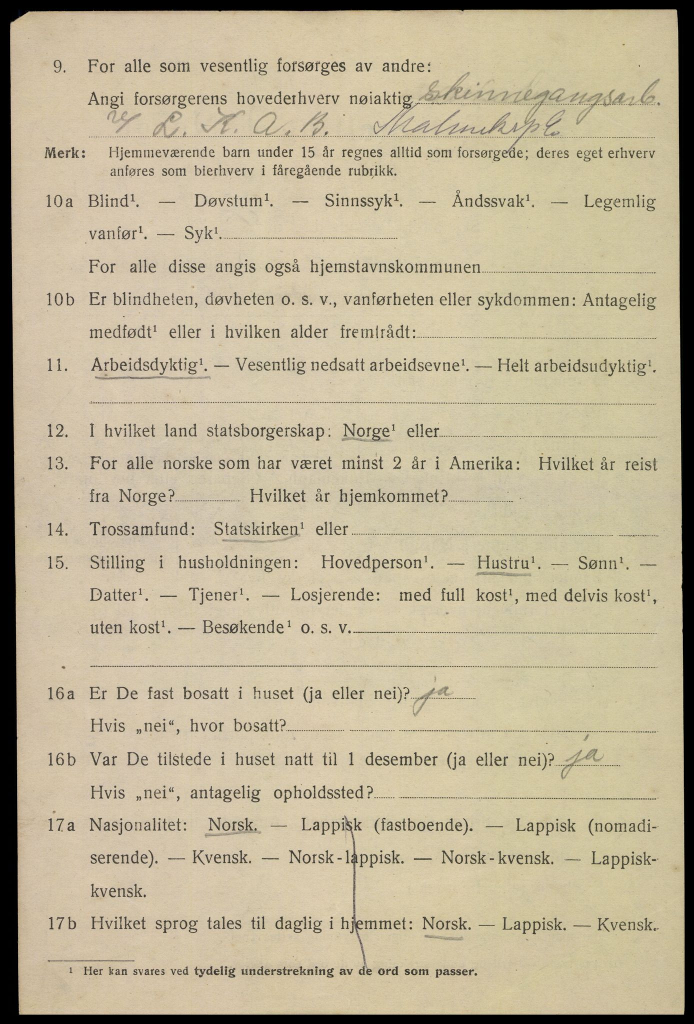 SAT, 1920 census for Narvik, 1920, p. 11747