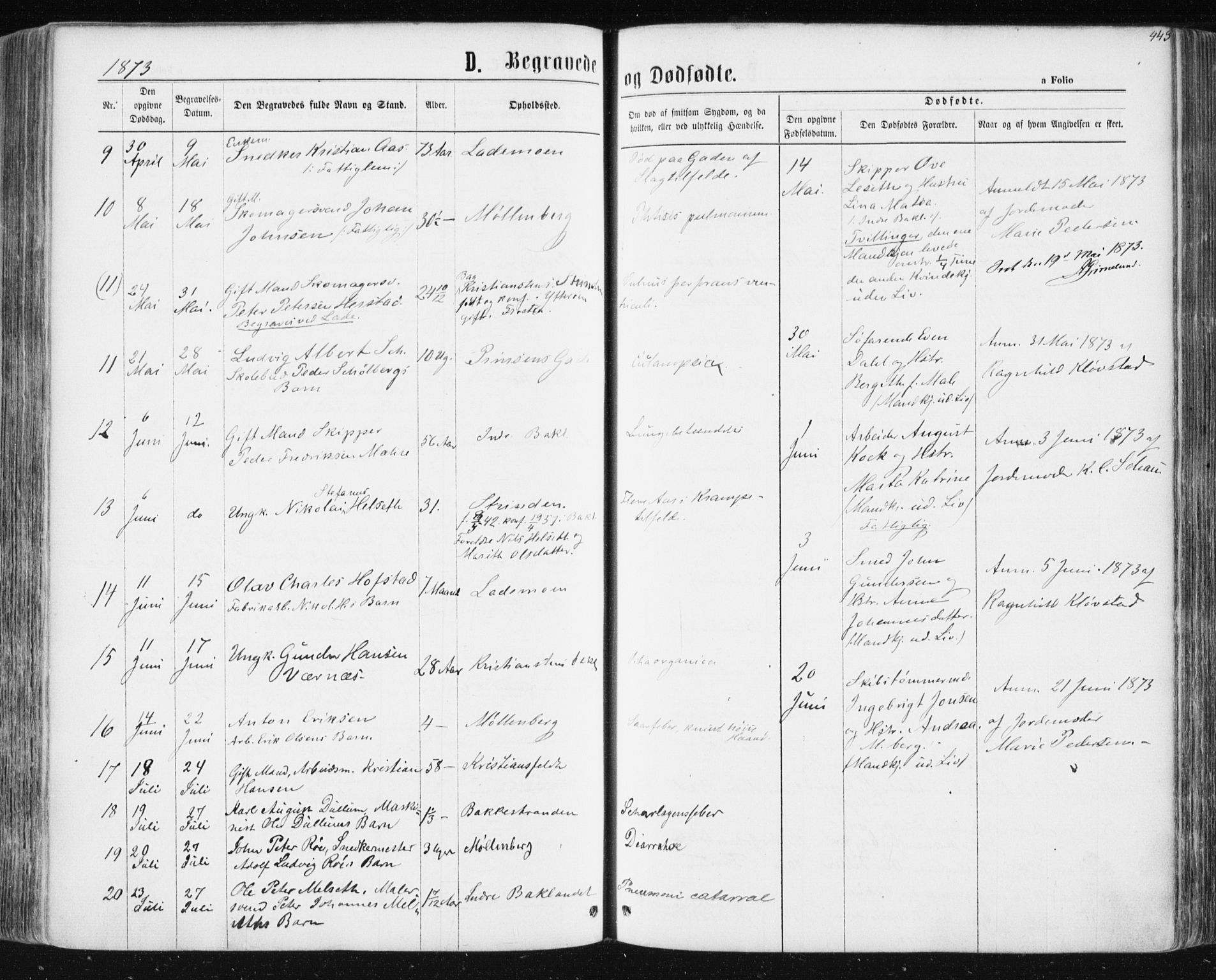 Ministerialprotokoller, klokkerbøker og fødselsregistre - Sør-Trøndelag, SAT/A-1456/604/L0186: Parish register (official) no. 604A07, 1866-1877, p. 443