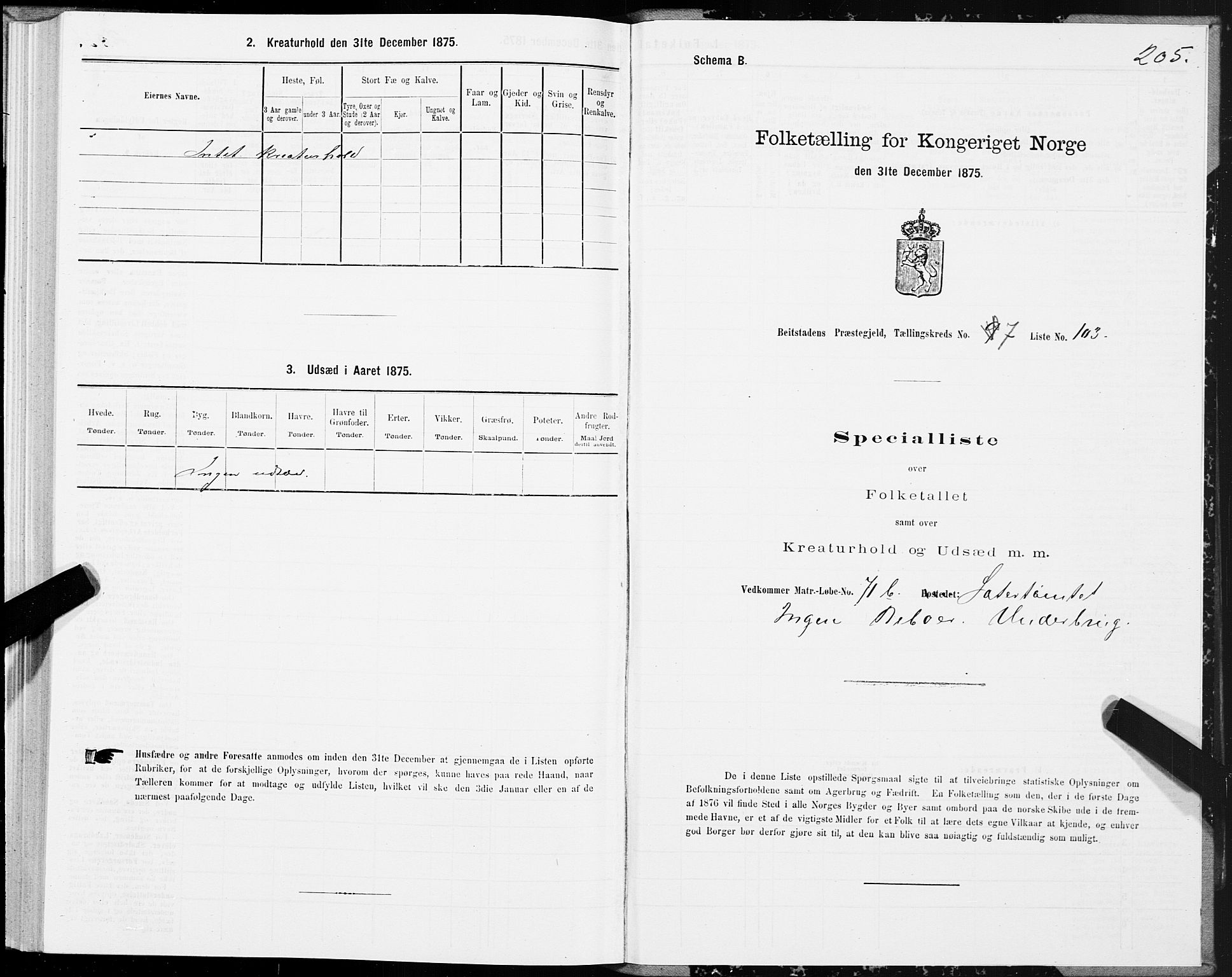 SAT, 1875 census for 1727P Beitstad, 1875, p. 5205