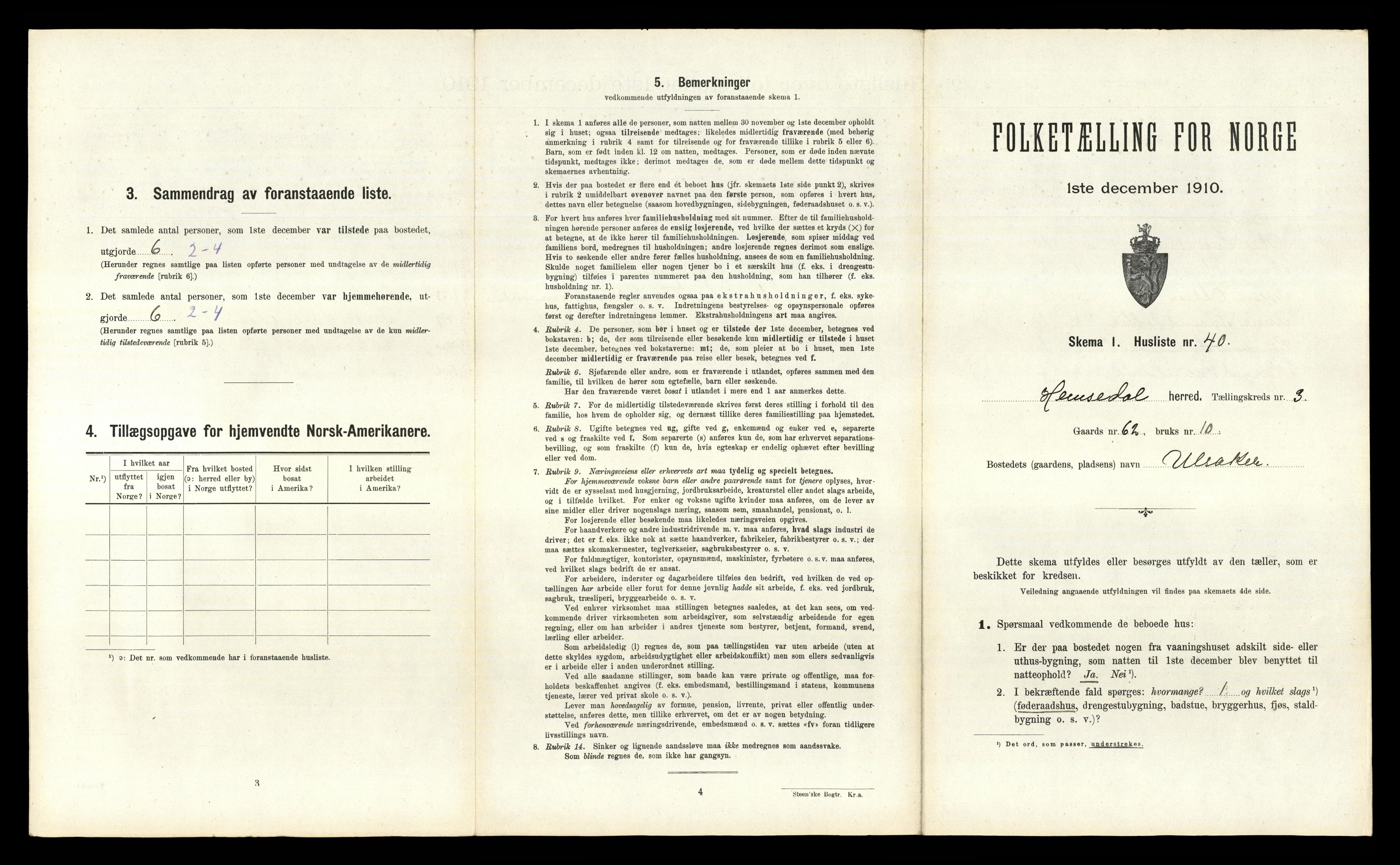 RA, 1910 census for Hemsedal, 1910, p. 196