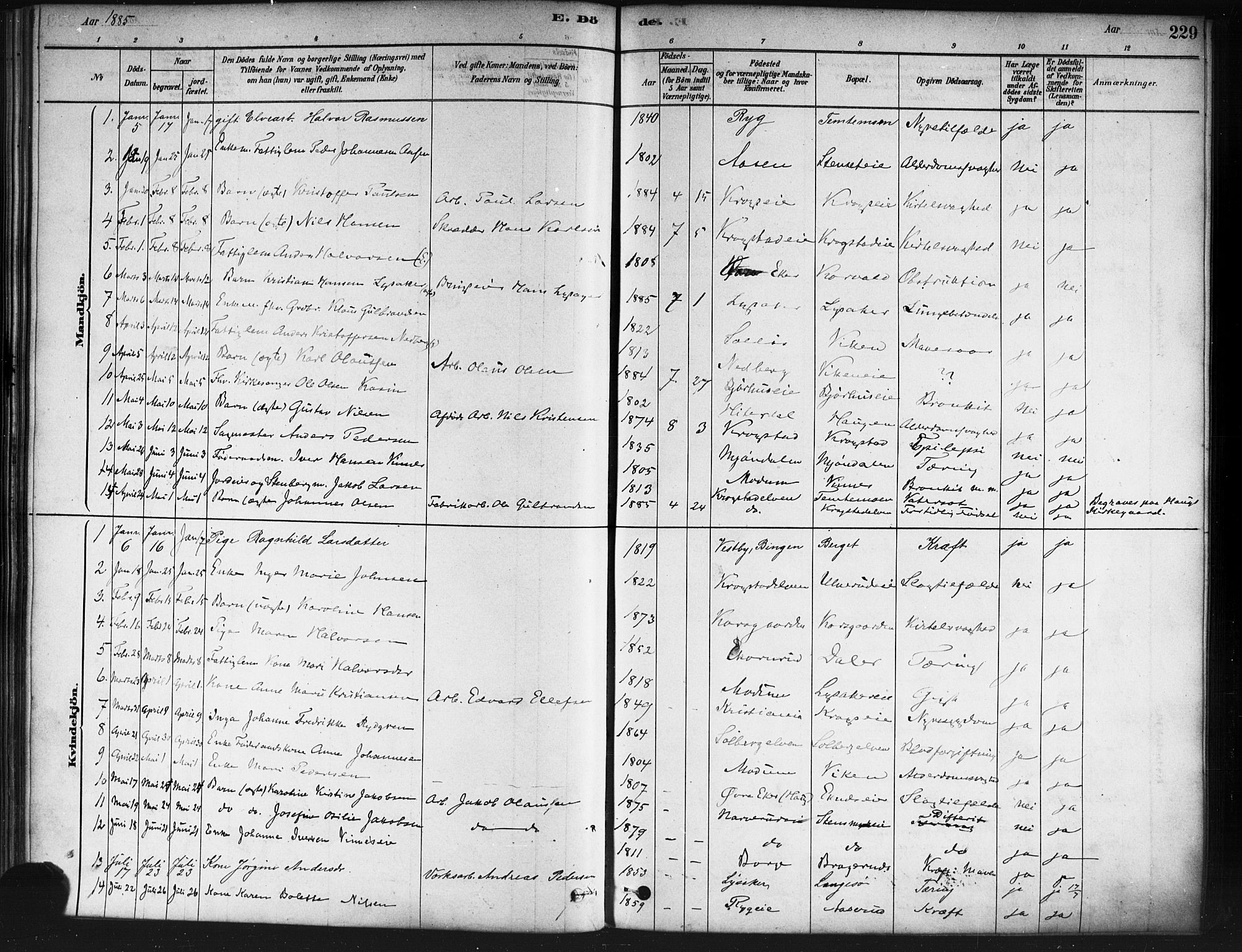 Nedre Eiker kirkebøker, SAKO/A-612/F/Fa/L0002: Parish register (official) no. 2, 1878-1885, p. 229