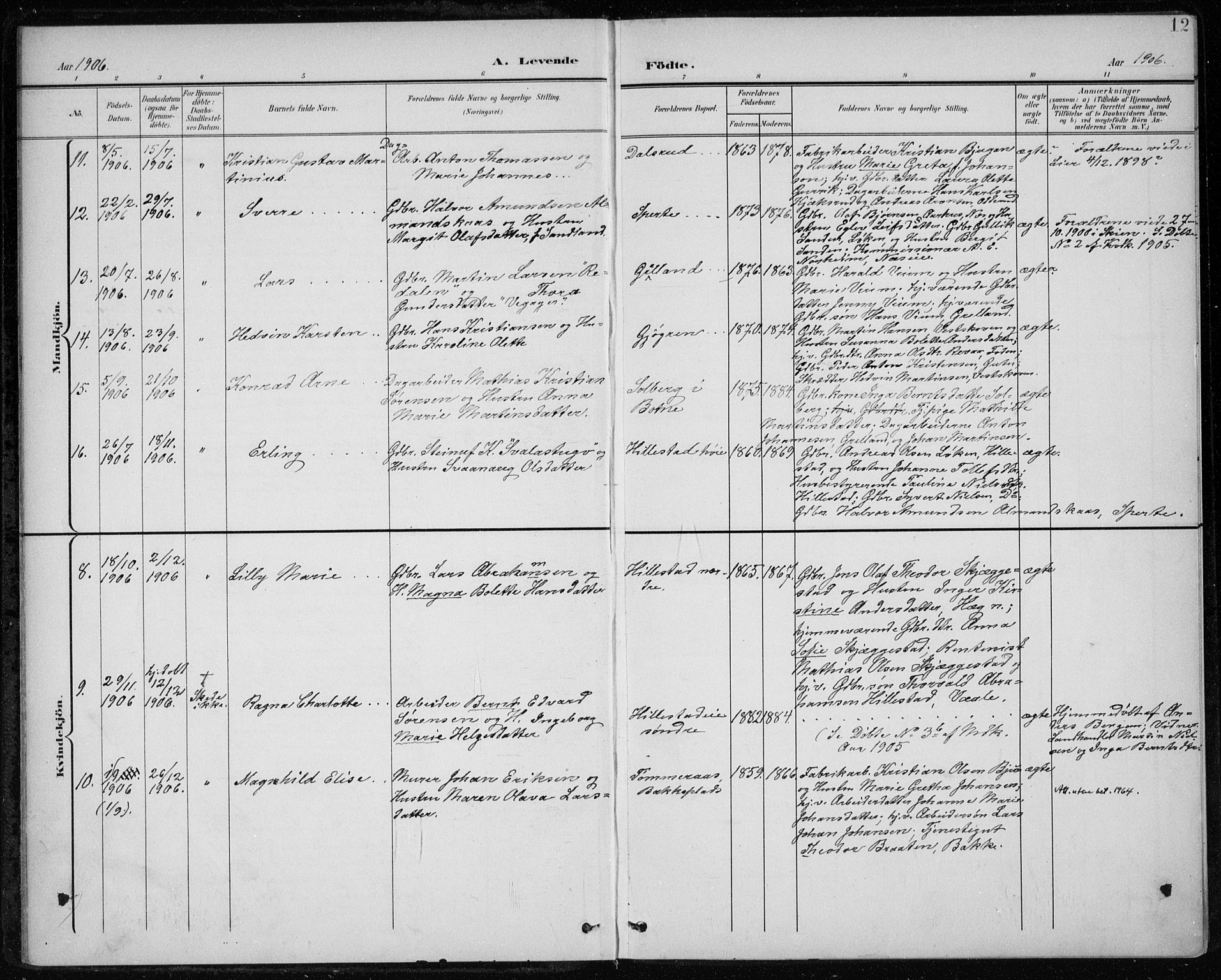 Botne kirkebøker, AV/SAKO-A-340/F/Fb/L0002: Parish register (official) no. II 2, 1902-1915, p. 12