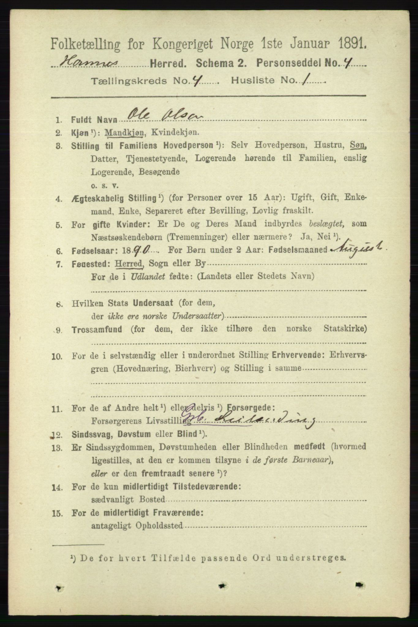 RA, 1891 census for 0936 Hornnes, 1891, p. 1056