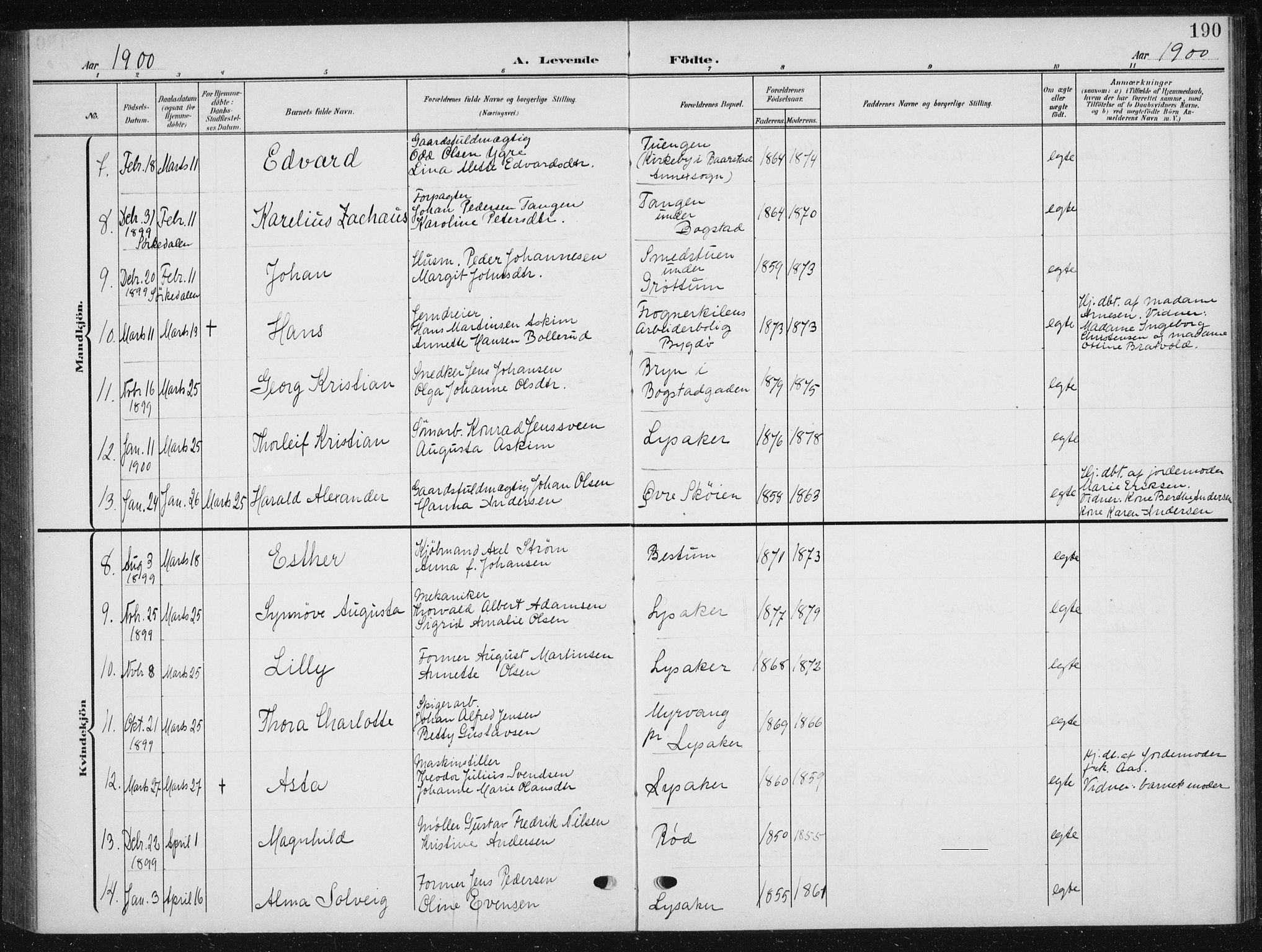 Vestre Aker prestekontor Kirkebøker, SAO/A-10025/F/Fb/L0001: Parish register (official) no. II 1, 1880-1906, p. 190