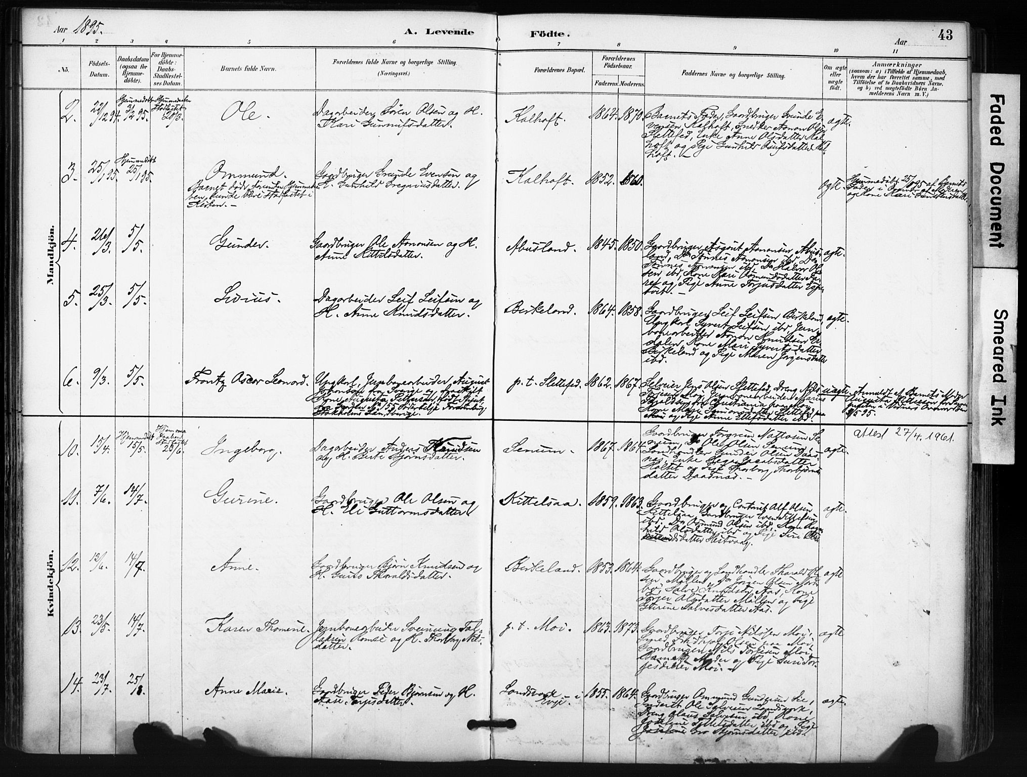 Evje sokneprestkontor, AV/SAK-1111-0008/F/Fa/Fab/L0003: Parish register (official) no. A 3, 1884-1909, p. 43