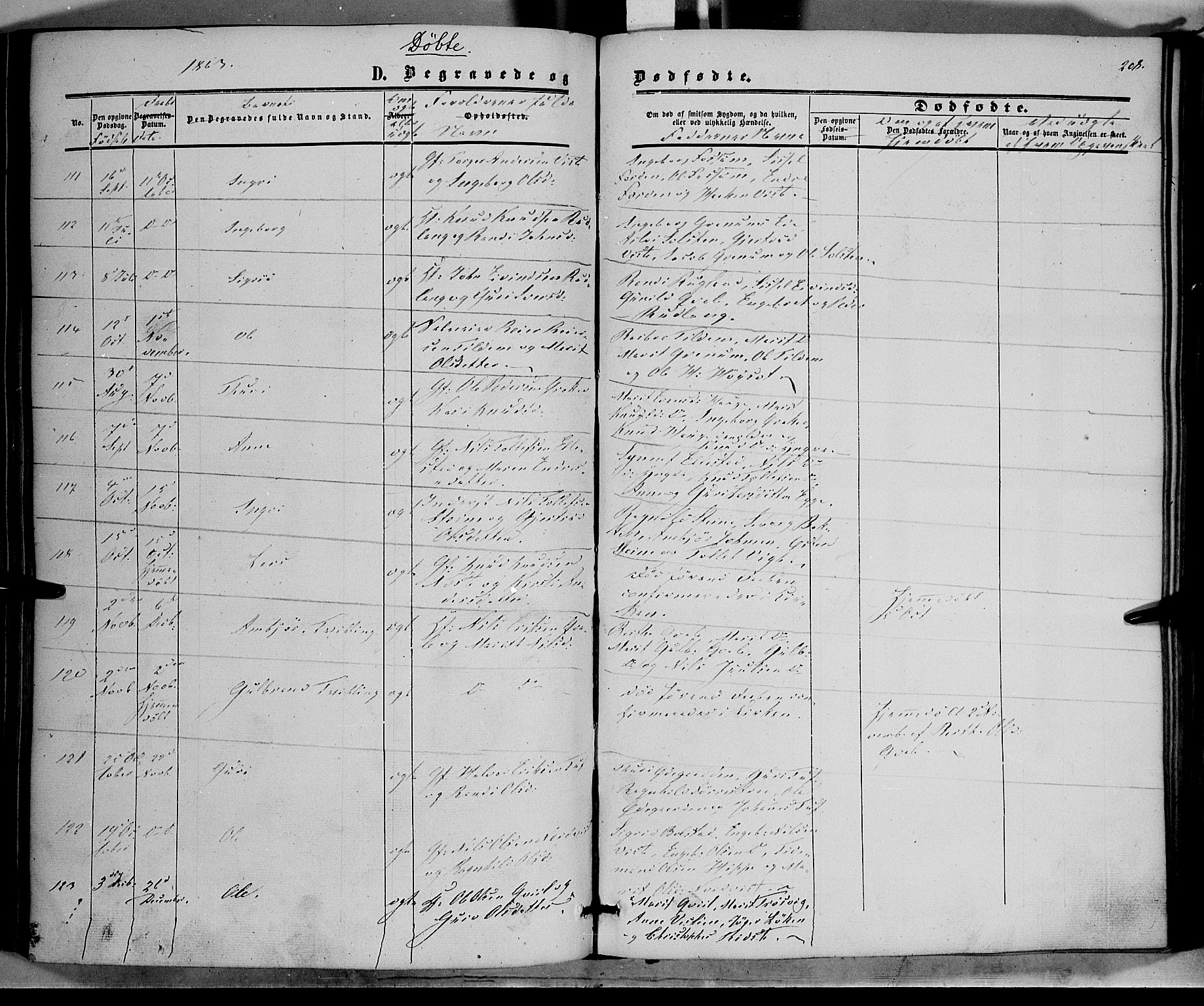 Vestre Slidre prestekontor, SAH/PREST-136/H/Ha/Haa/L0002: Parish register (official) no. 2, 1856-1864, p. 208