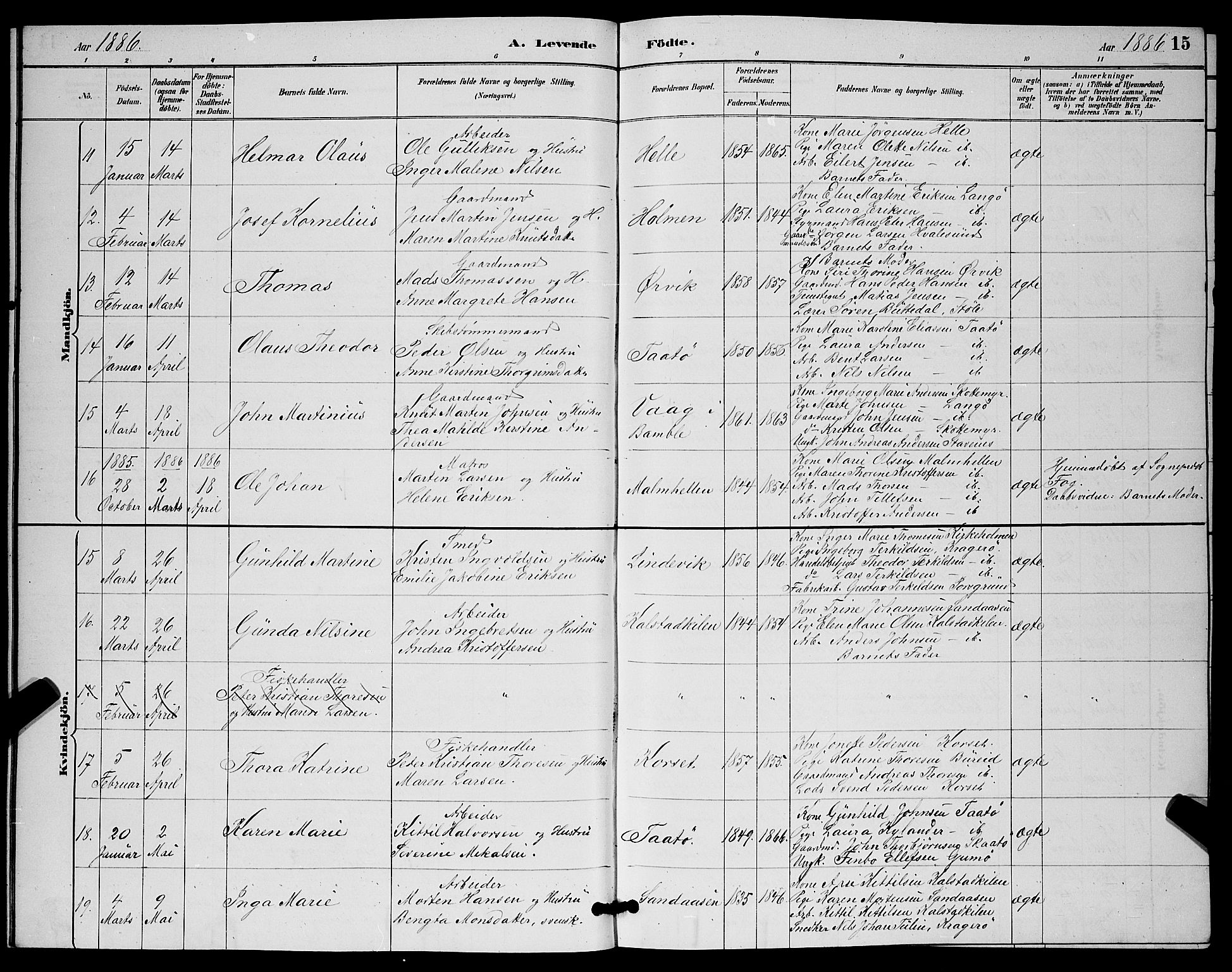 Skåtøy kirkebøker, SAKO/A-304/G/Ga/L0003: Parish register (copy) no. I 3, 1884-1898, p. 15