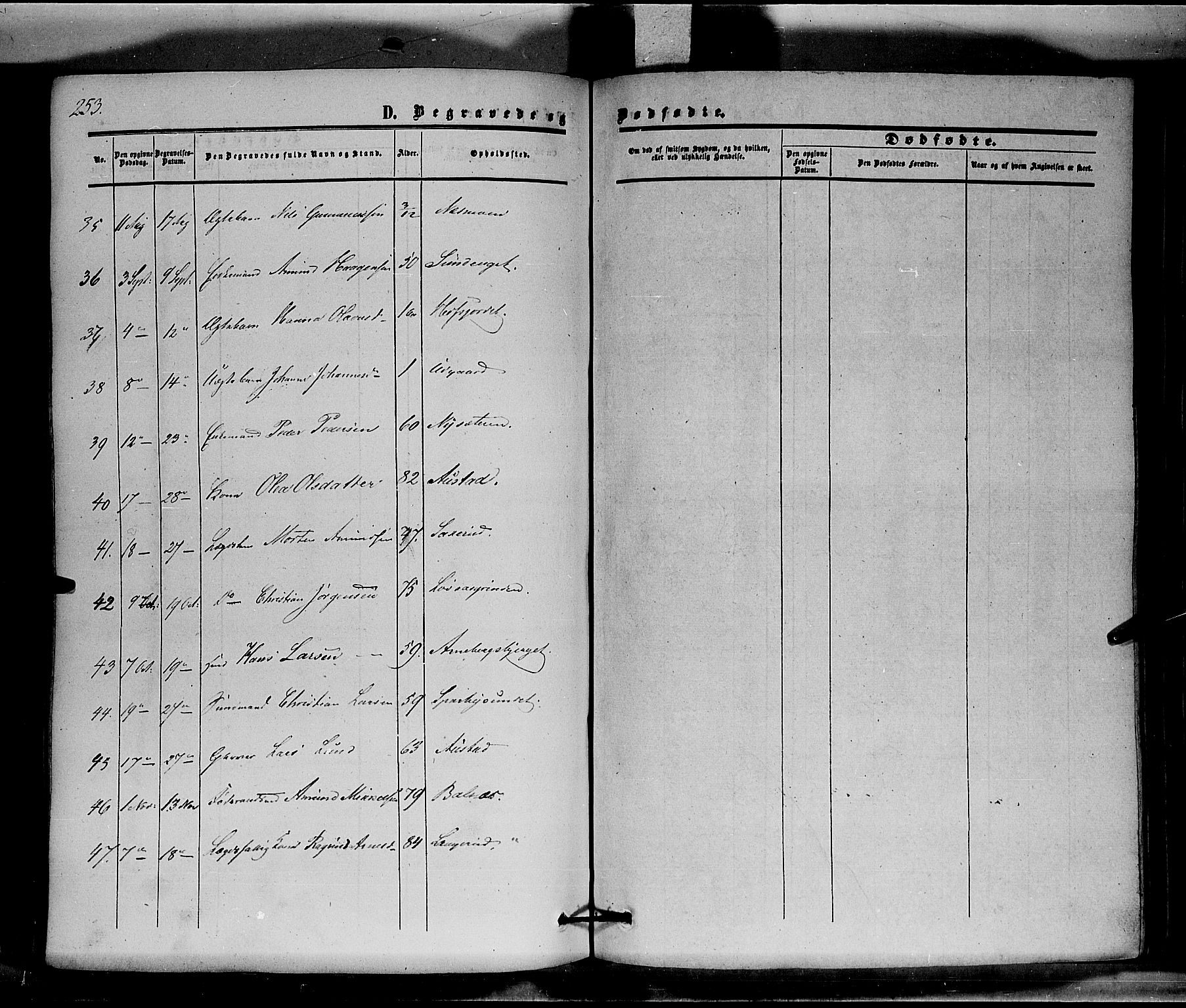 Hof prestekontor, SAH/PREST-038/H/Ha/Haa/L0008: Parish register (official) no. 8, 1849-1861, p. 253