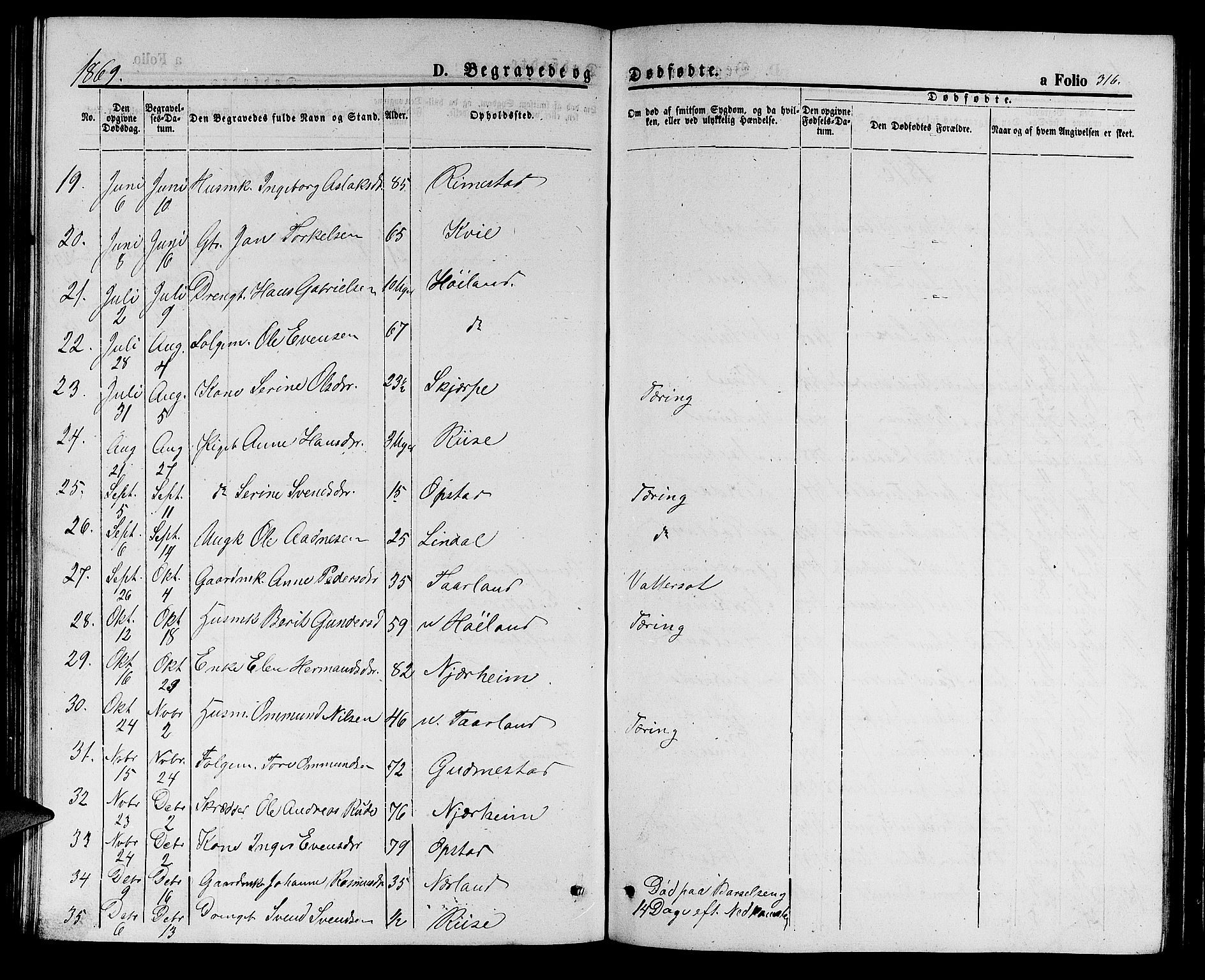 Hå sokneprestkontor, AV/SAST-A-101801/001/30BB/L0001: Parish register (copy) no. B 1, 1854-1883, p. 316