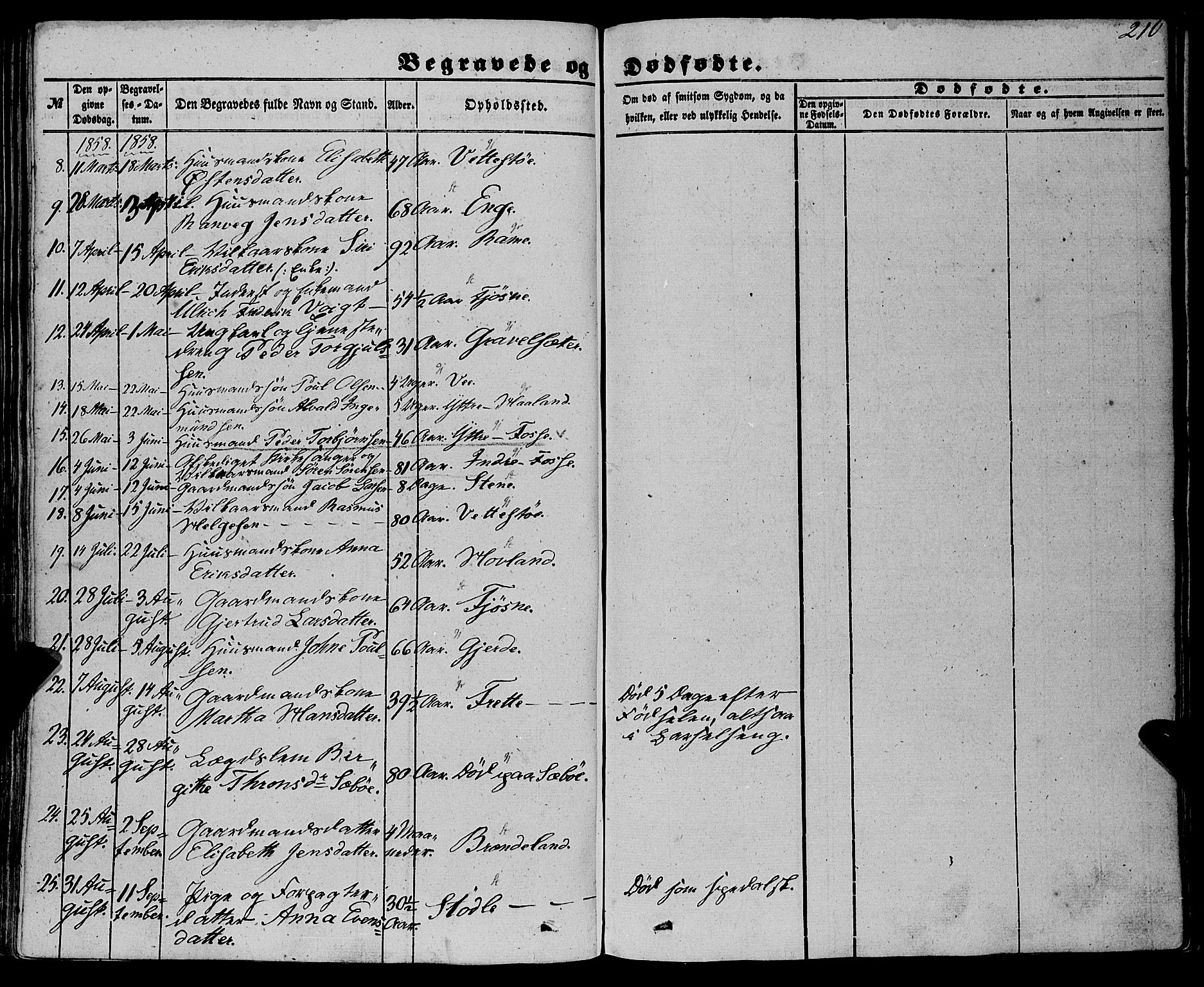 Etne sokneprestembete, AV/SAB-A-75001/H/Haa: Parish register (official) no. A 8, 1848-1862, p. 210