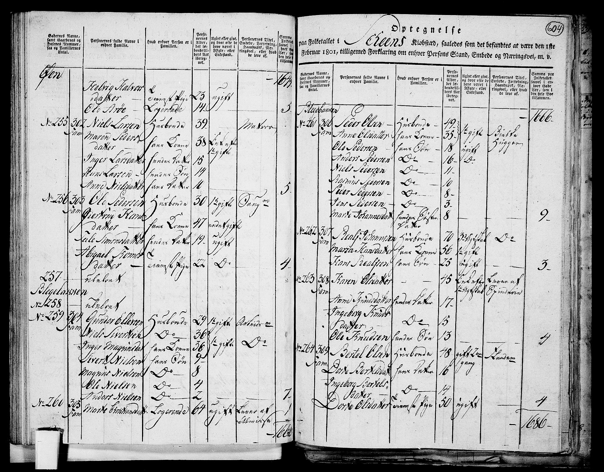 RA, 1801 census for 0806P Skien, 1801, p. 603b-604a