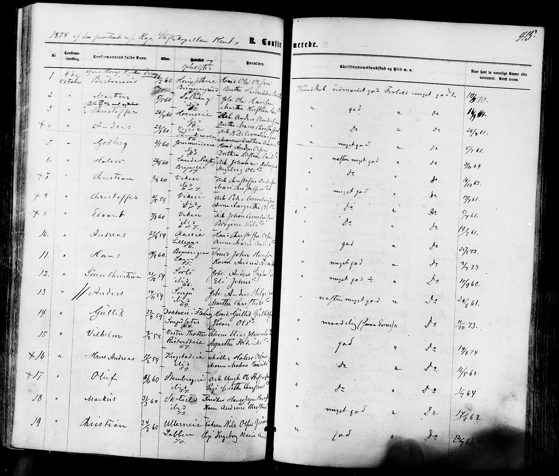 Eiker kirkebøker, SAKO/A-4/F/Fa/L0017: Parish register (official) no. I 17, 1869-1877, p. 415