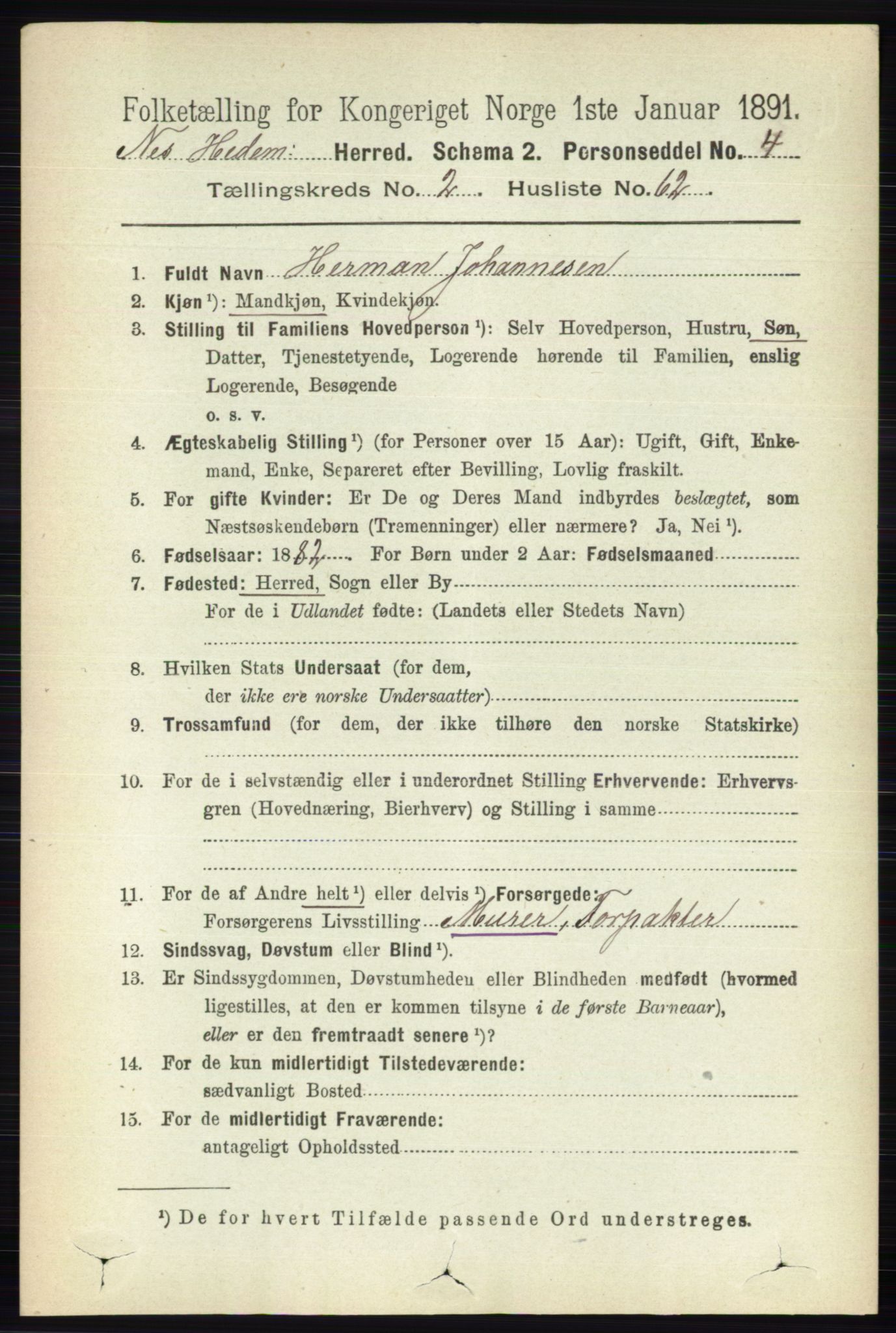 RA, 1891 census for 0411 Nes, 1891, p. 1502