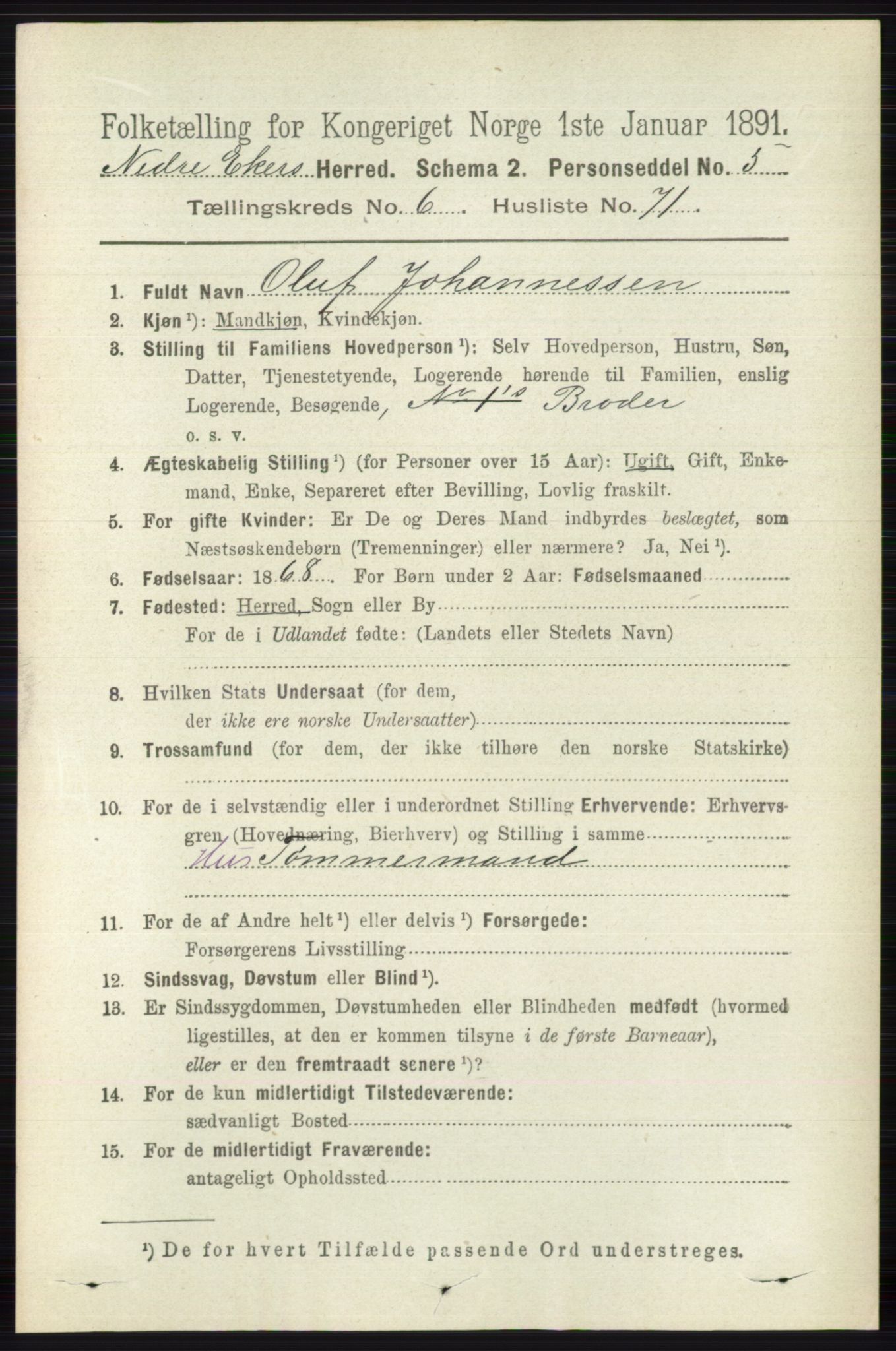 RA, 1891 census for 0625 Nedre Eiker, 1891, p. 3259