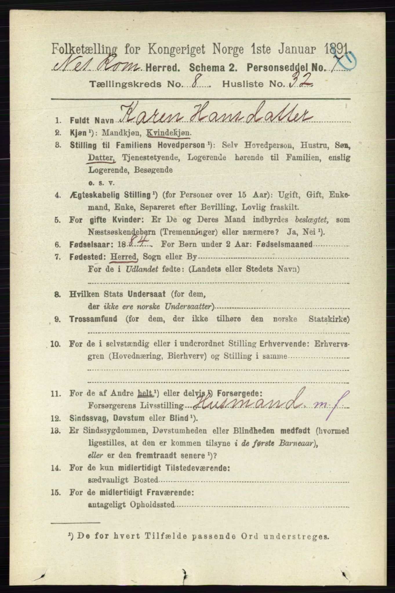 RA, 1891 census for 0236 Nes, 1891, p. 4800