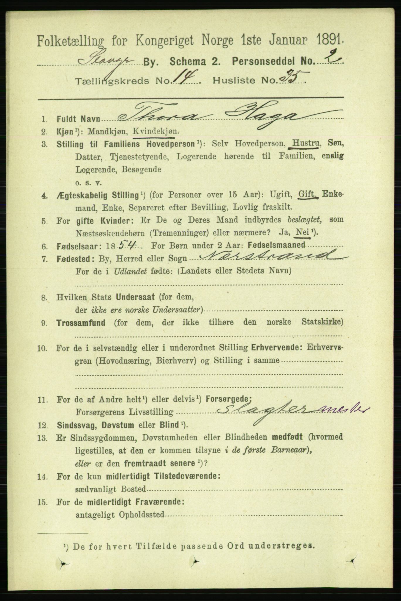 RA, 1891 census for 1103 Stavanger, 1891, p. 17293