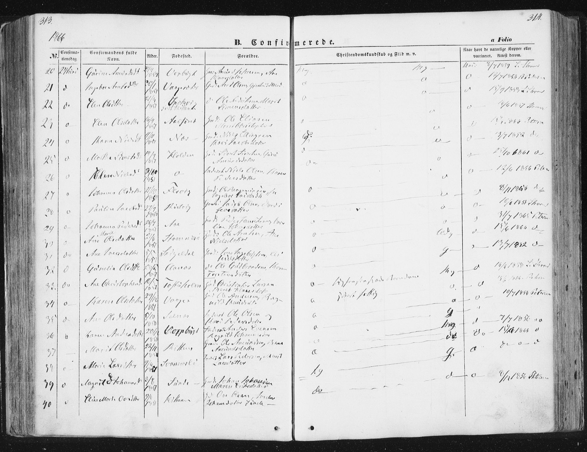 Ministerialprotokoller, klokkerbøker og fødselsregistre - Sør-Trøndelag, AV/SAT-A-1456/630/L0494: Parish register (official) no. 630A07, 1852-1868, p. 313-314