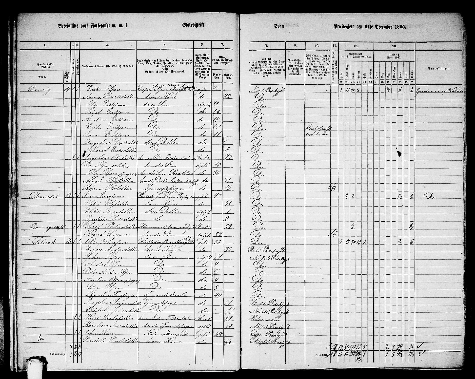 RA, 1865 census for Nesset, 1865, p. 14