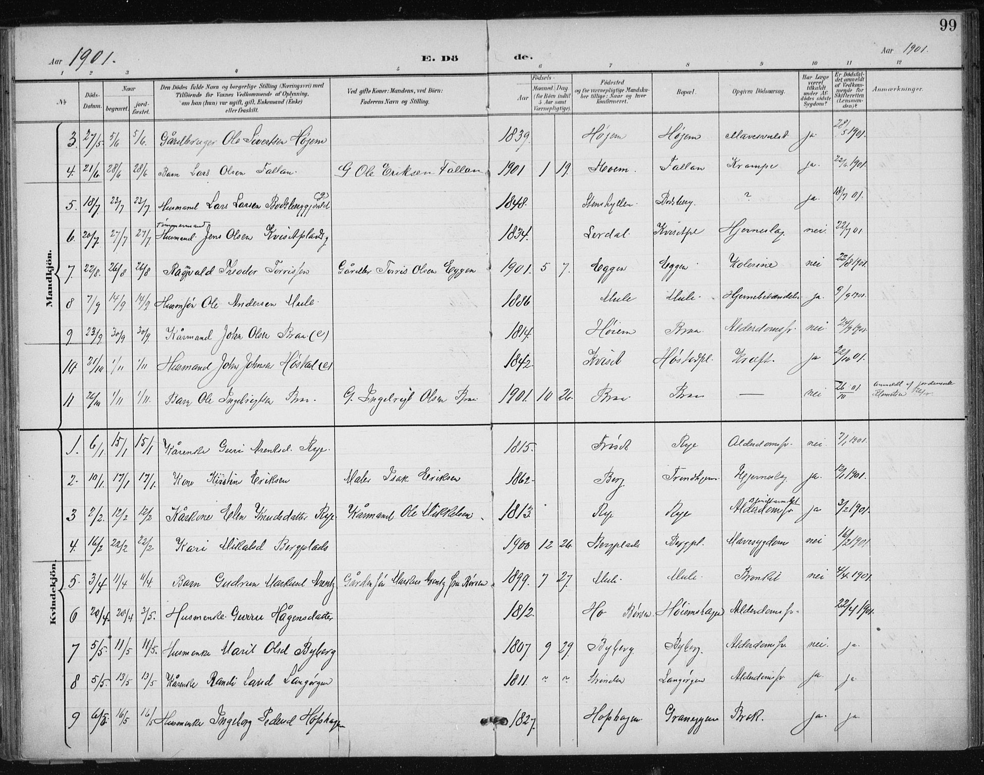 Ministerialprotokoller, klokkerbøker og fødselsregistre - Sør-Trøndelag, AV/SAT-A-1456/612/L0380: Parish register (official) no. 612A12, 1898-1907, p. 99