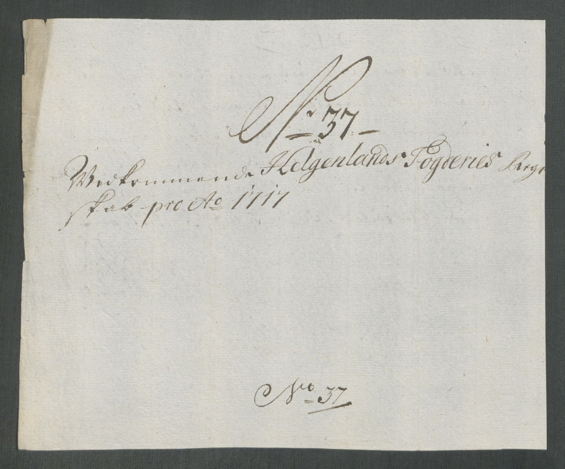 Rentekammeret inntil 1814, Reviderte regnskaper, Fogderegnskap, AV/RA-EA-4092/R65/L4515: Fogderegnskap Helgeland, 1717, p. 297