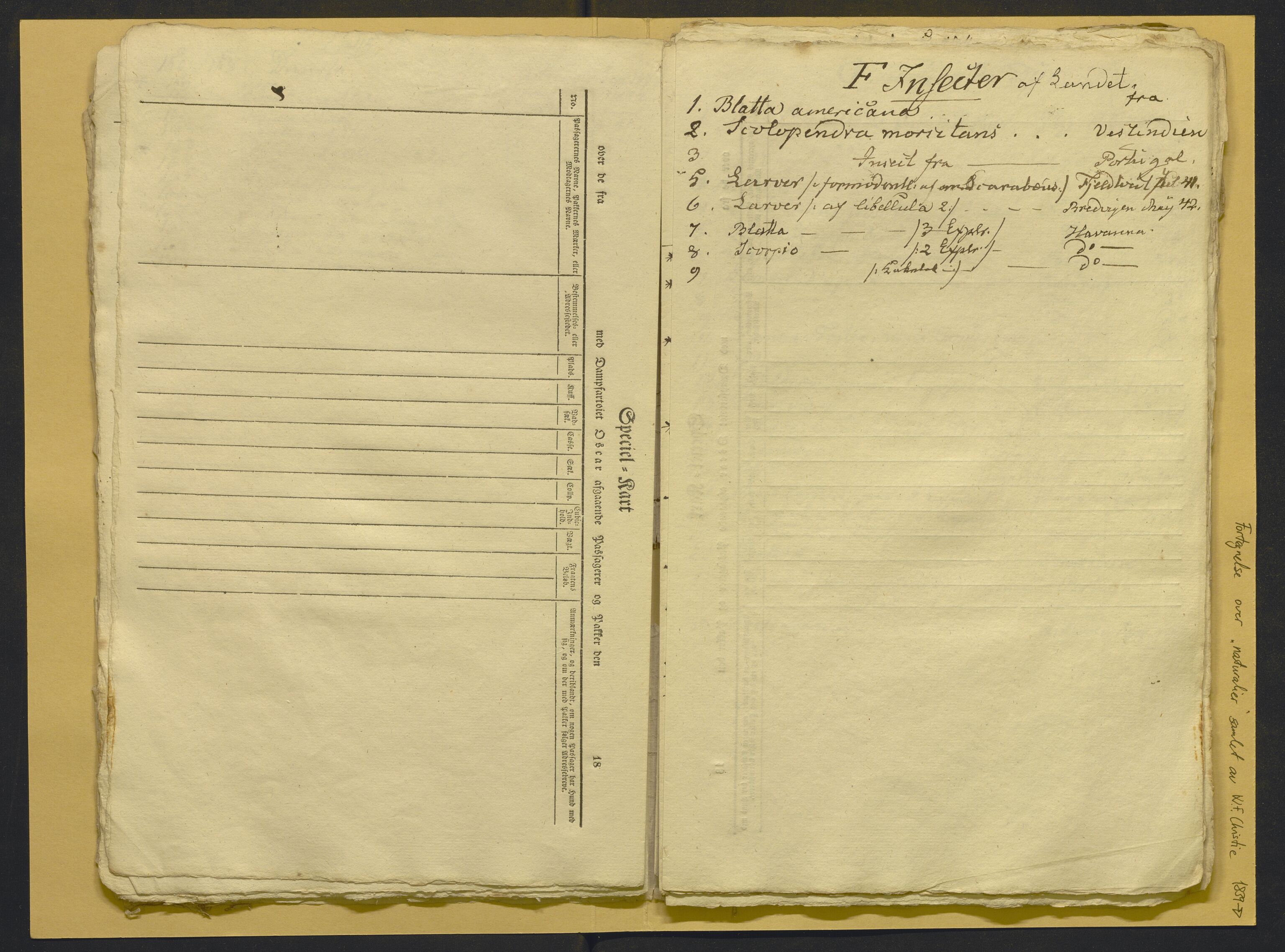 Bergens Museum, AV/SAB-A-17301/02/F/L0001: Kataloger over gjenstander og pergamentbrev , 1825-1880, p. 541