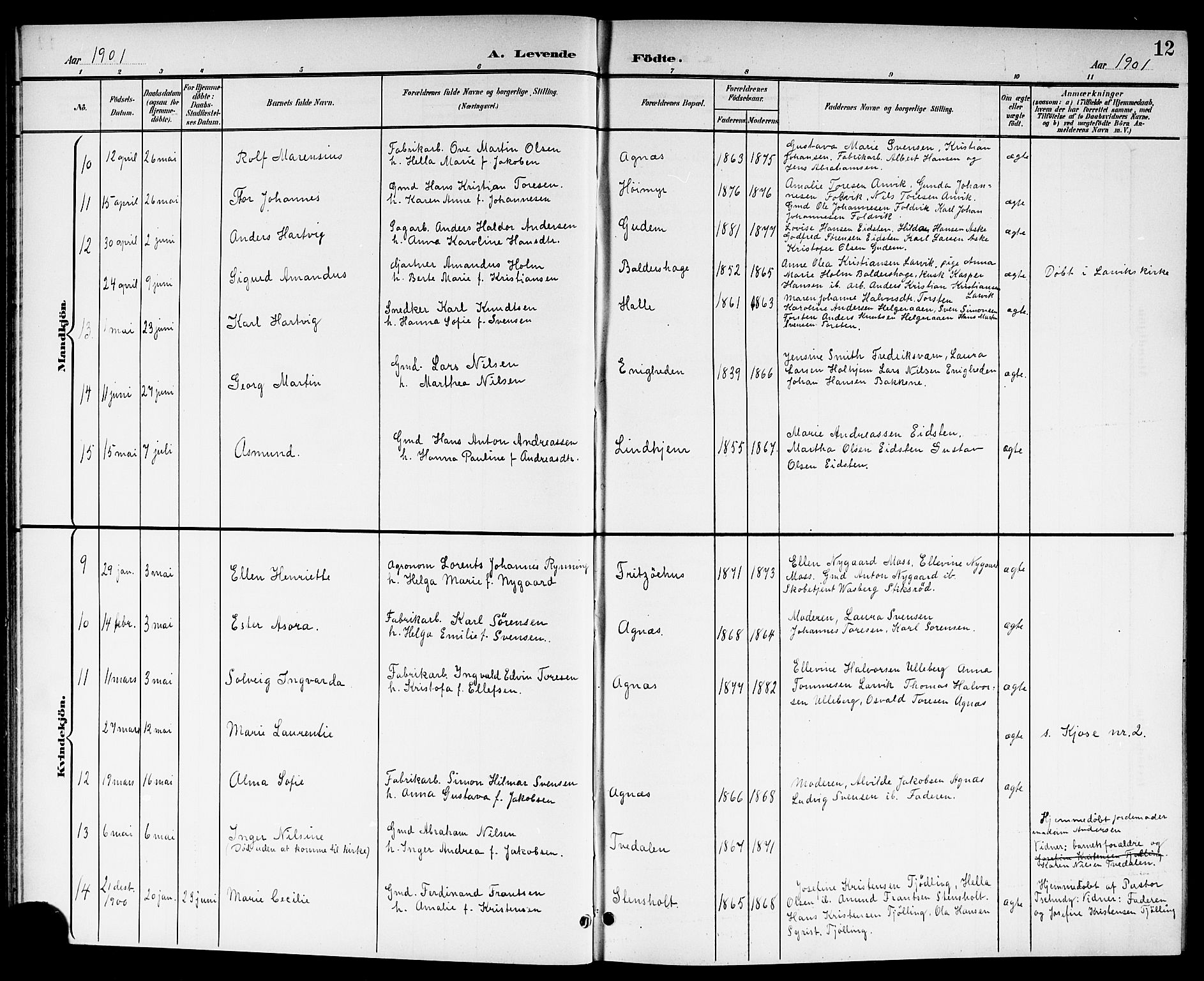 Brunlanes kirkebøker, SAKO/A-342/G/Ga/L0004: Parish register (copy) no. I 4, 1898-1921, p. 12